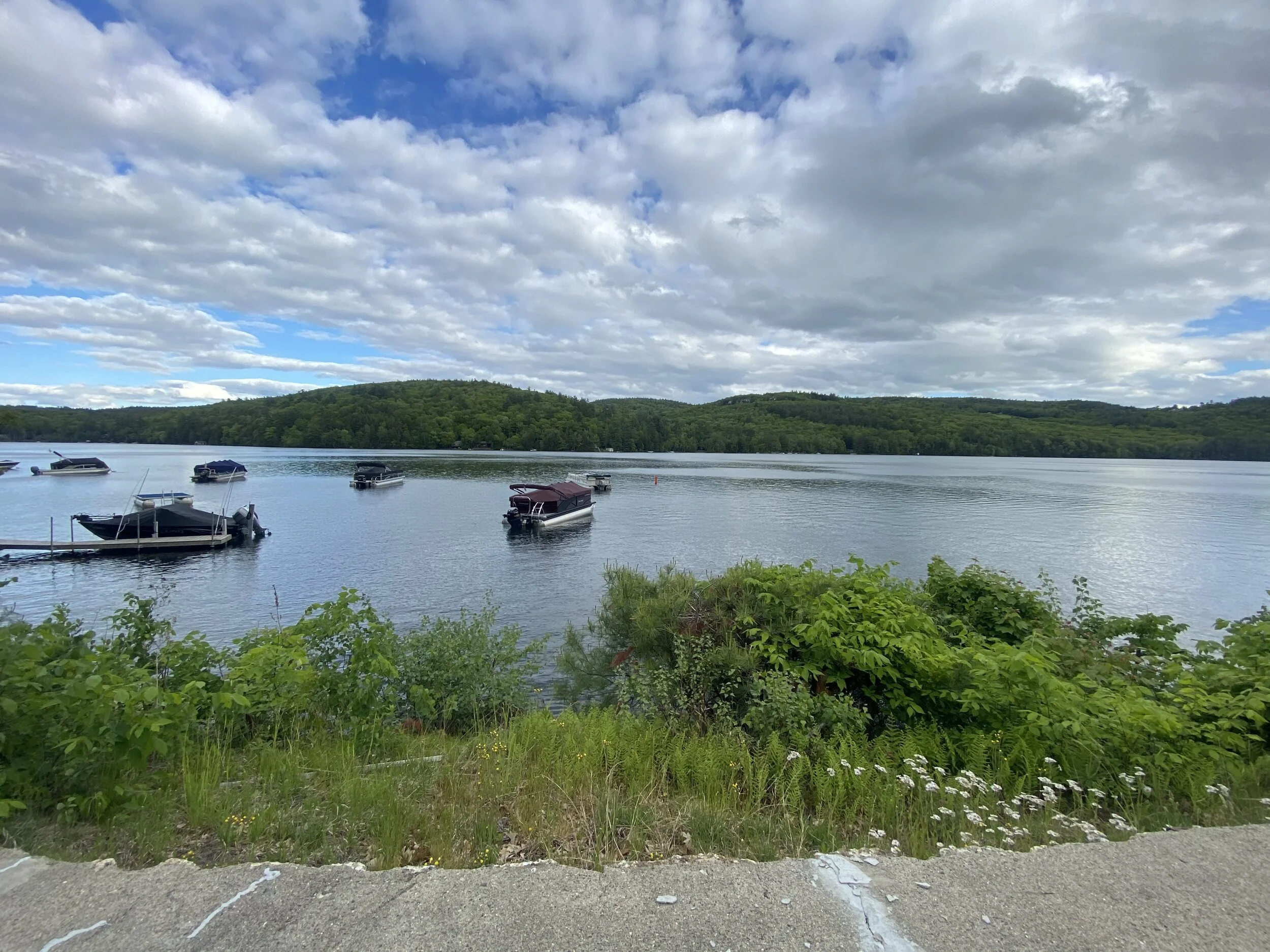 Dena - Squam Lakes Association