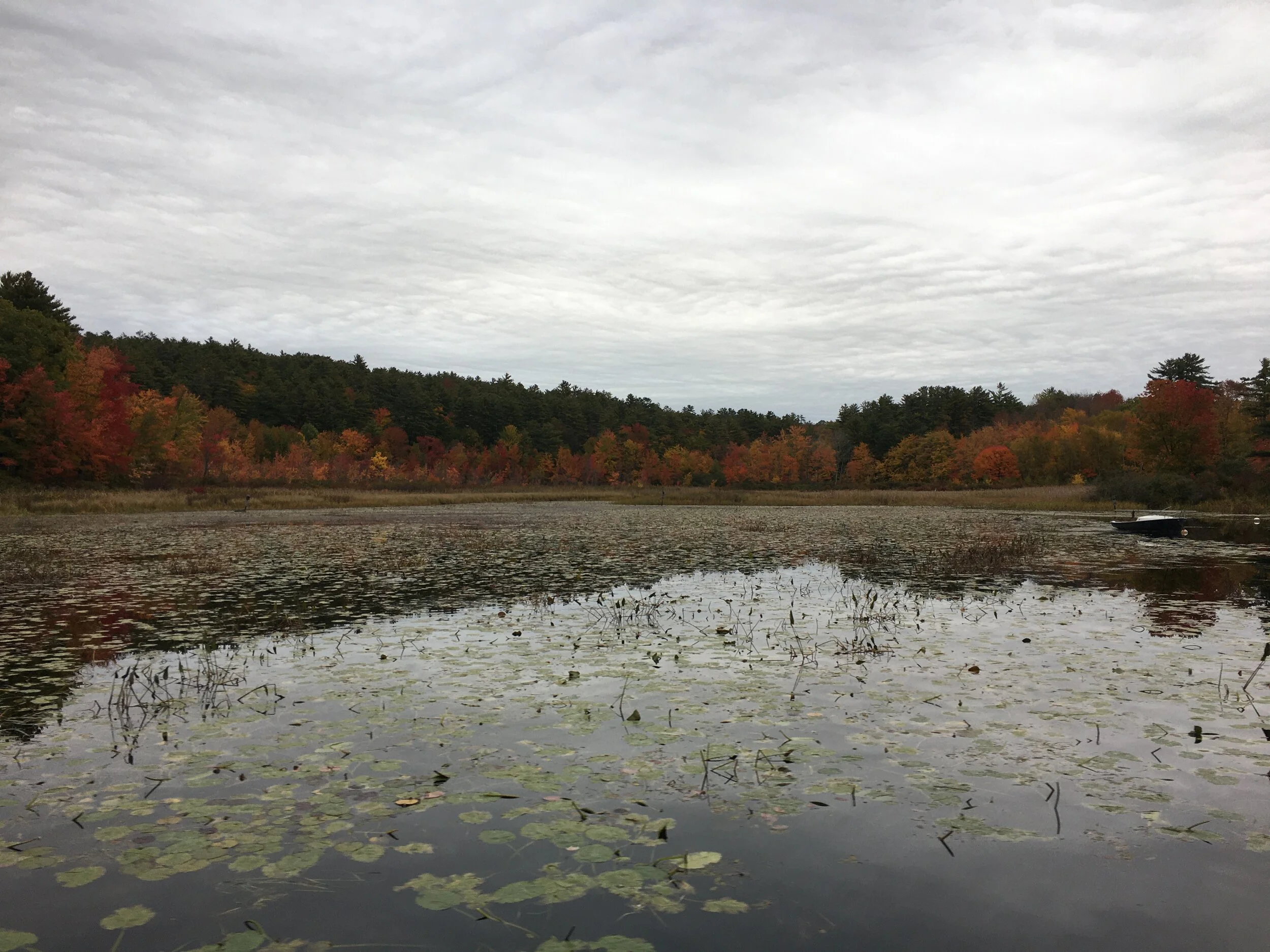 Sam - Squam Lakes Association