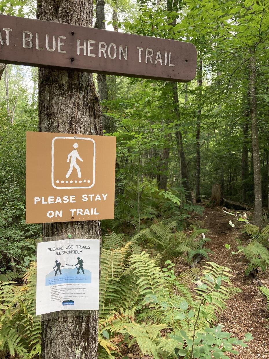 Jessica - Green Mountain Conservation Group