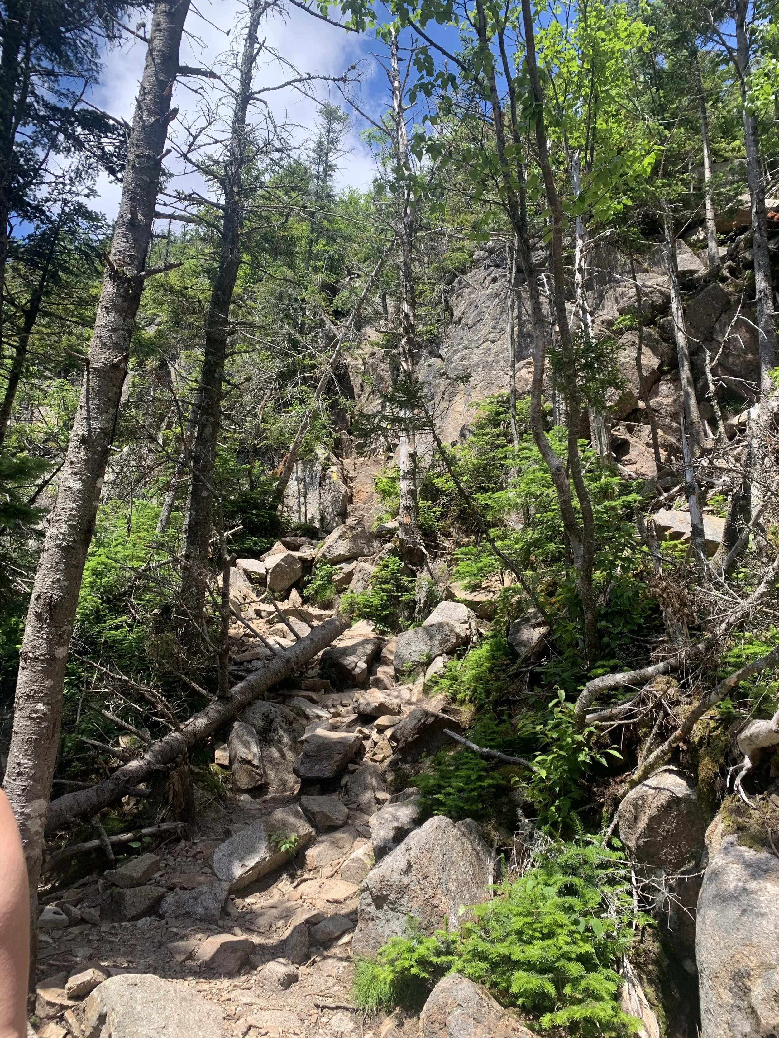 Liam - Squam Lakes Association