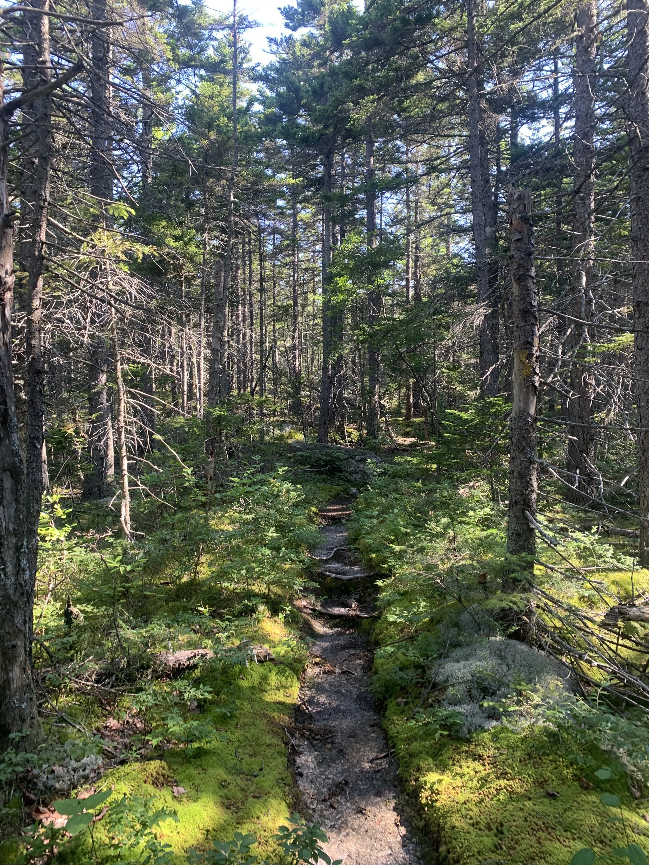 Liam - Squam Lakes Association