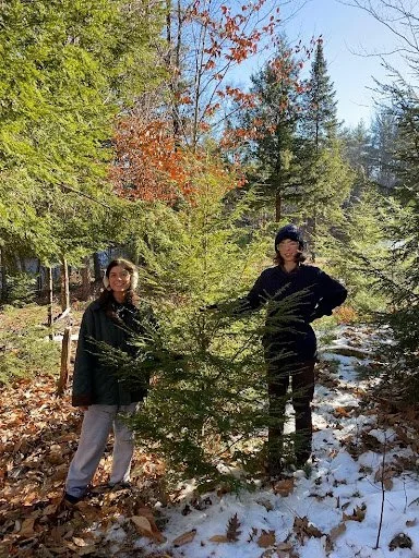 Grace - Green Mountain Conservation Group