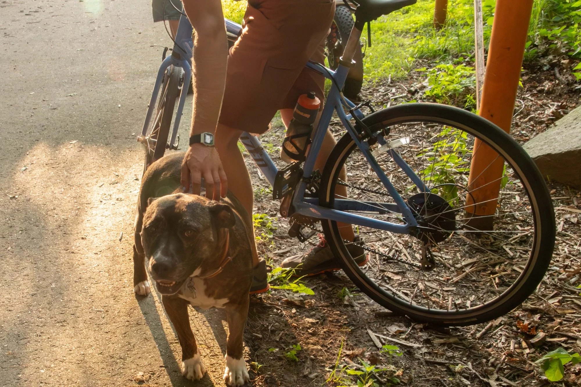 Logan - Squam Lakes Association