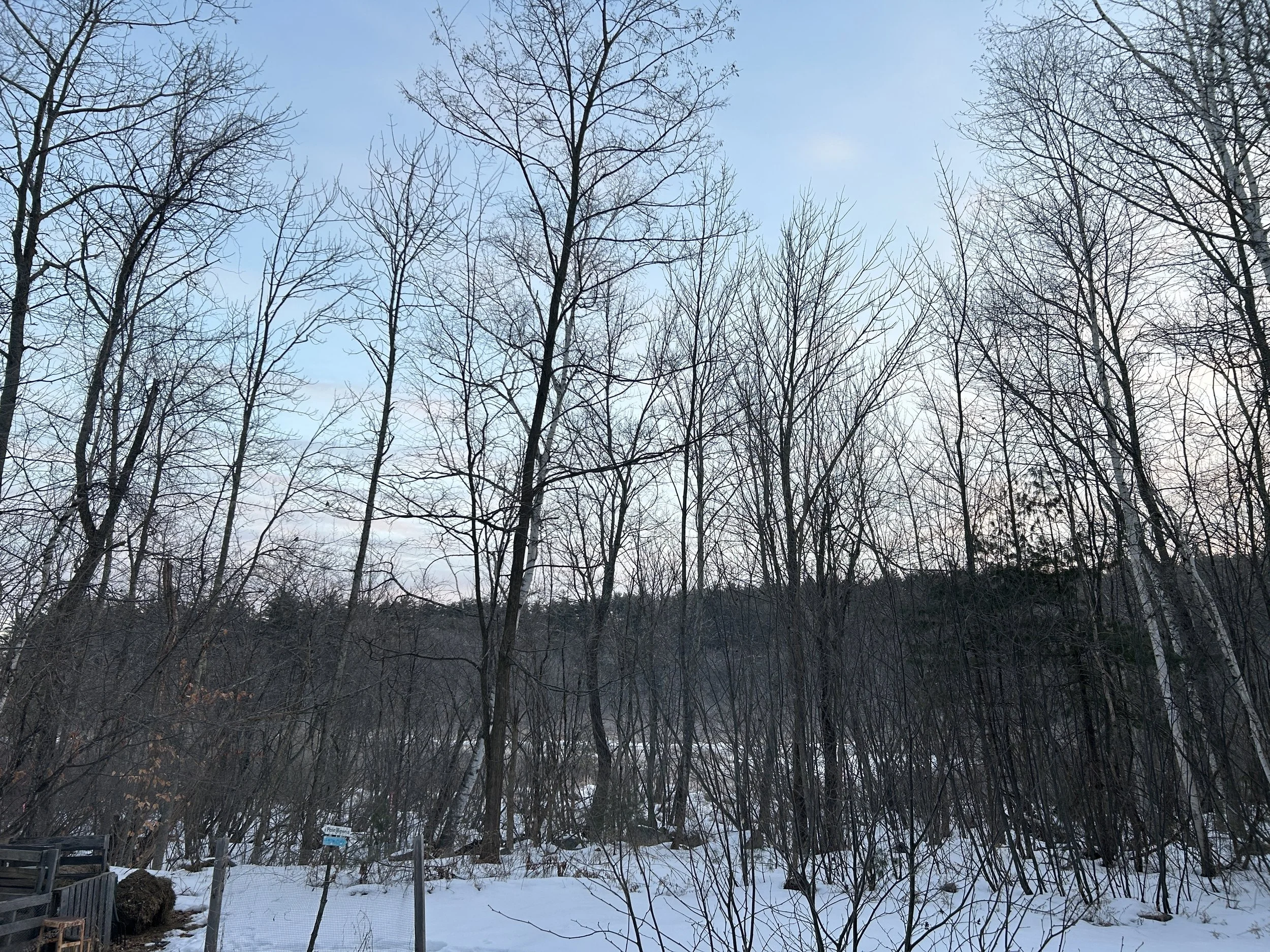 Peter - Squam Lakes Association