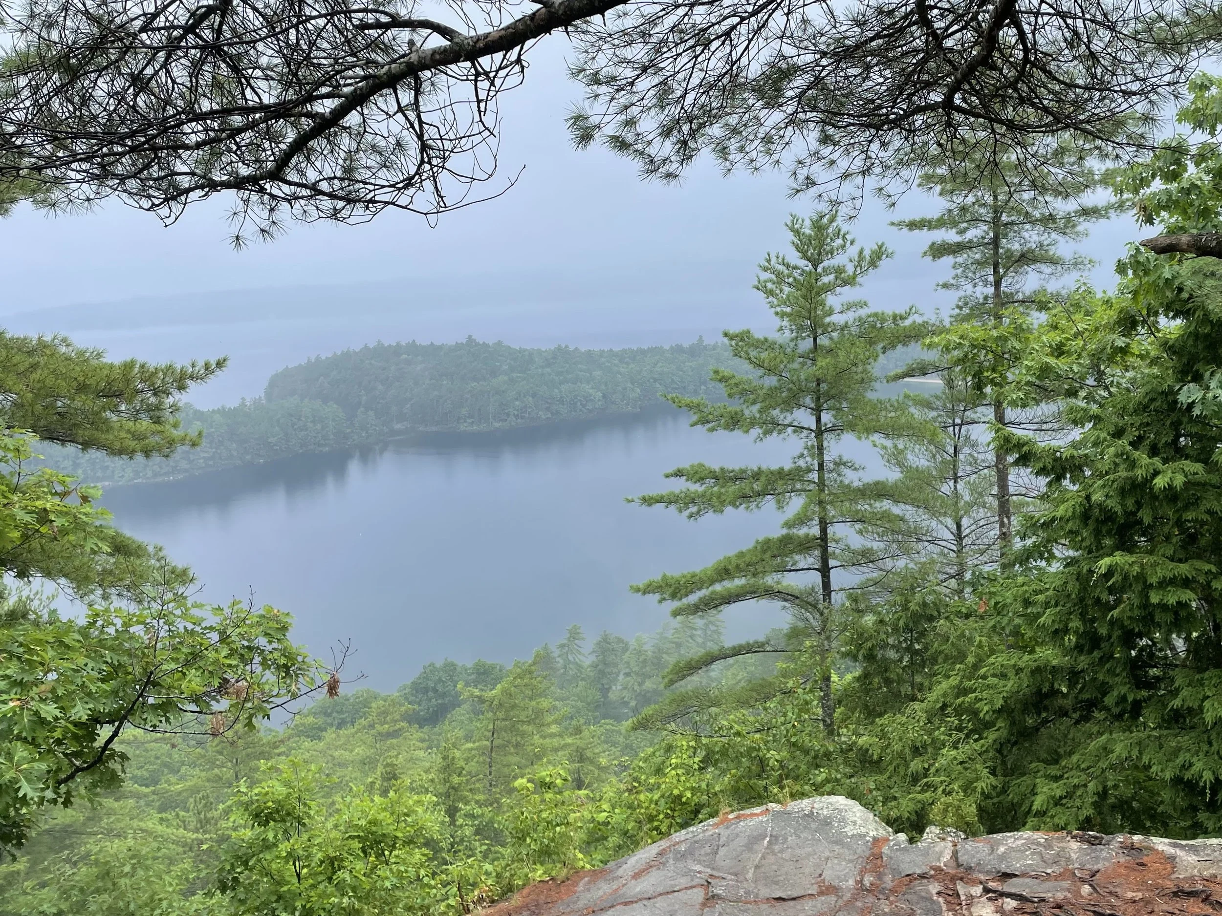 Shannon - Newfound Lake Region Association