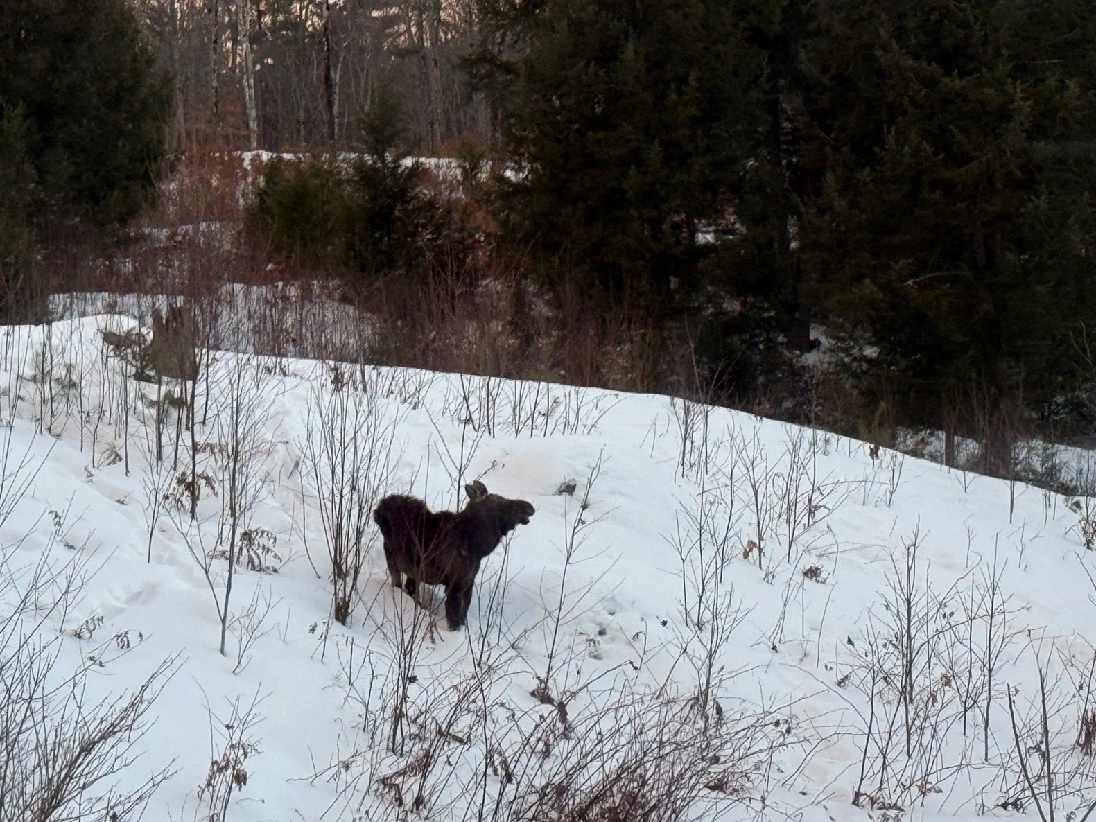 Macie- Squam Lakes Association