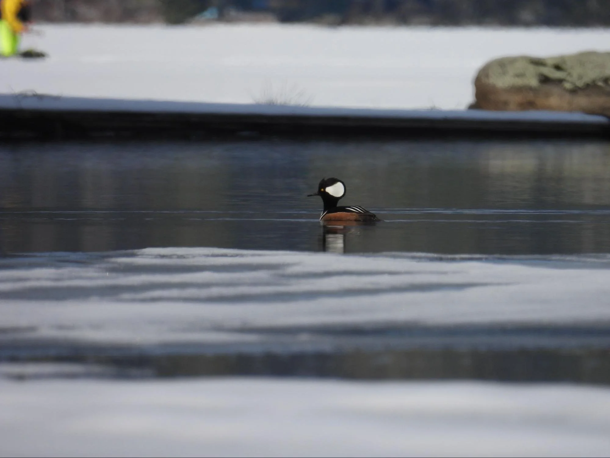 Eric- Squam Lakes Association