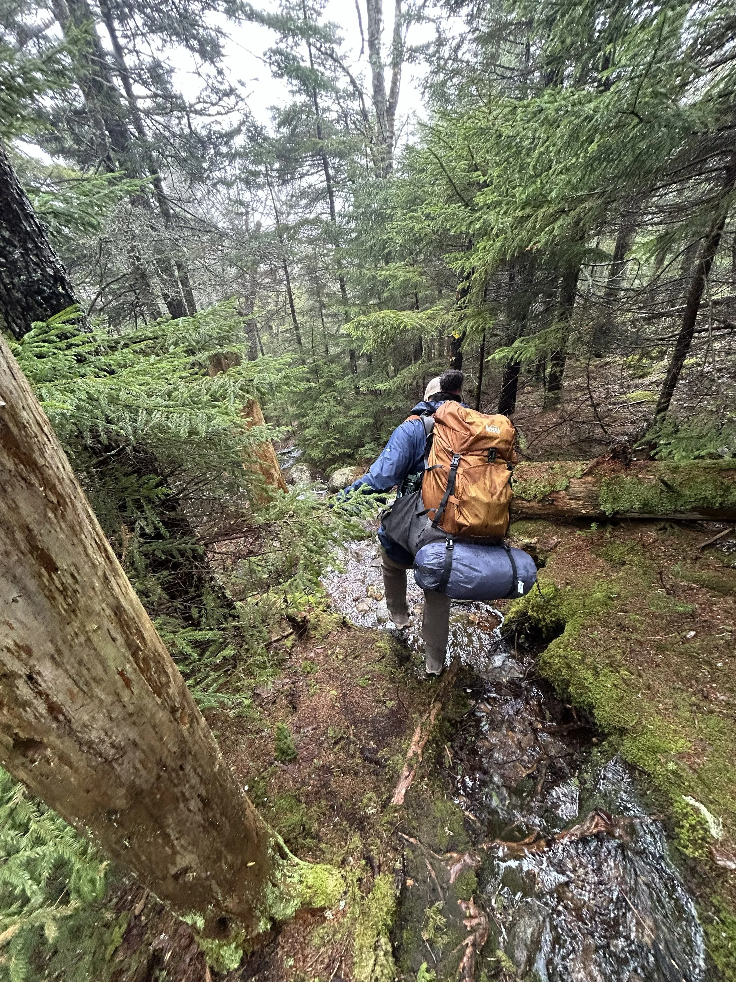 Alandra - Squam Lakes Association
