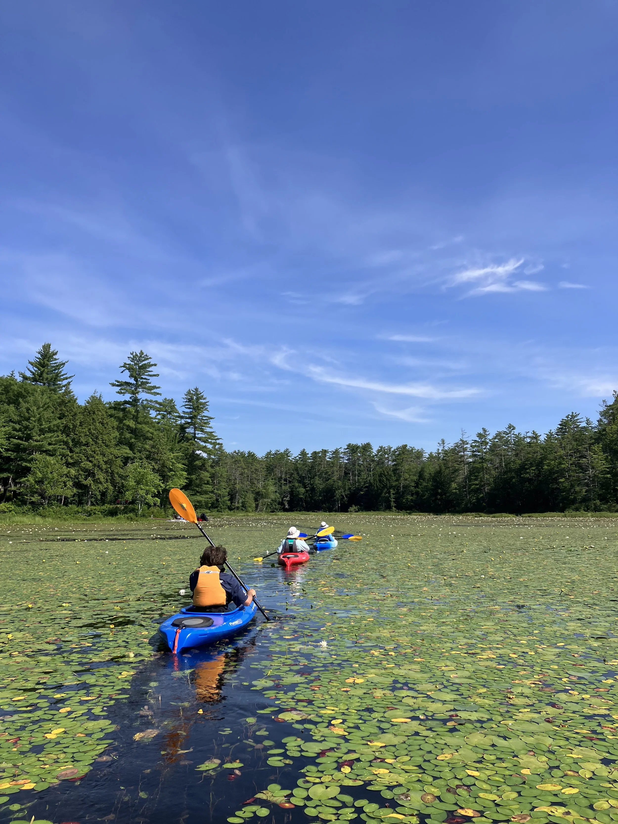 Jacob- Lakes Region Conservation Trust