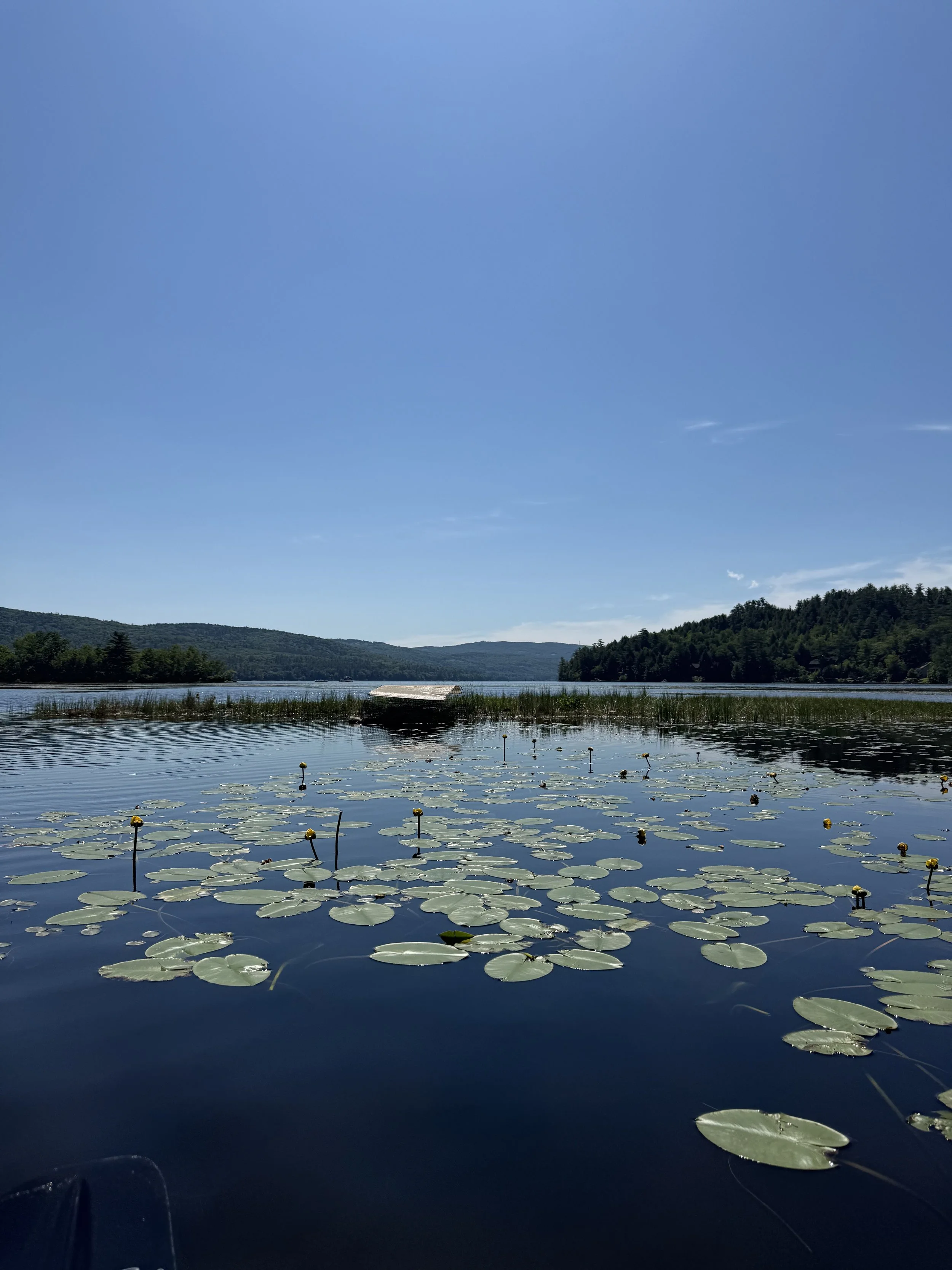 Loretta- Newfound Lake Region Association