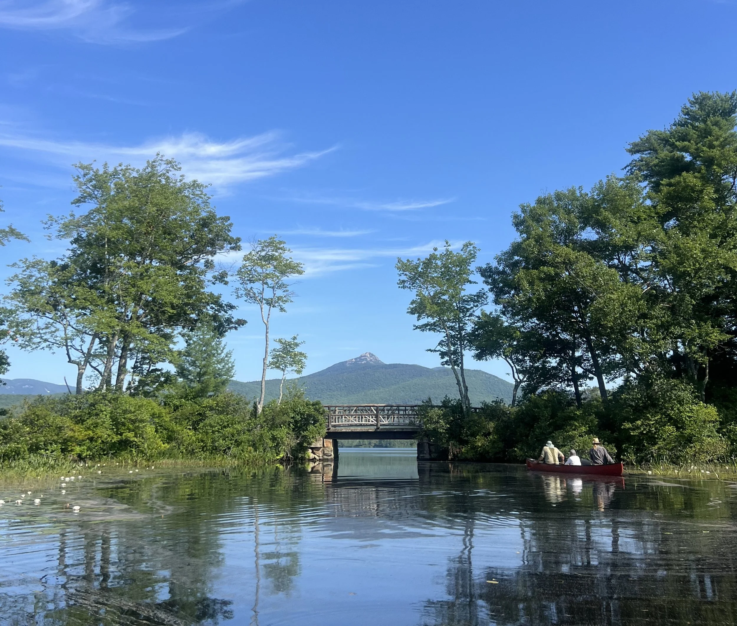 Olivia- Chocorua Lake Conservancy