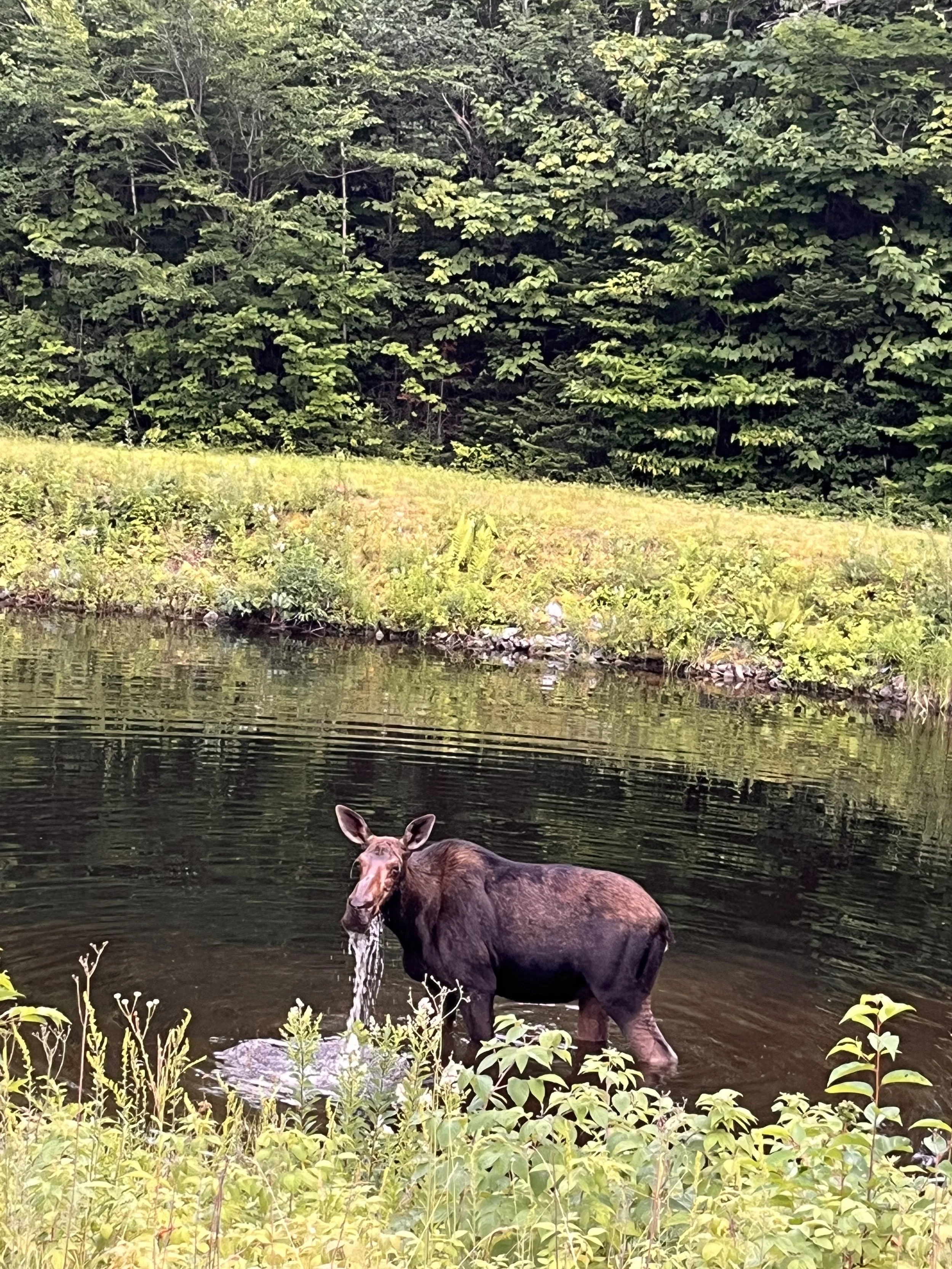Kevin - Squam Lakes Association