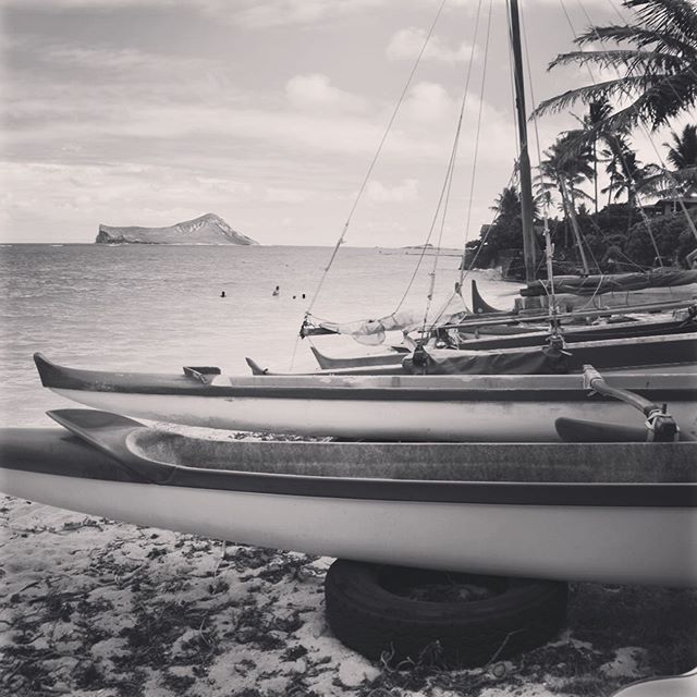 Where would you be if you left all your cares behind? - Marty Rubin &mdash;&mdash;
#learningtogrow #perksofbeingalive #alohaspirit #vacation #sunshine #hawaii #photography #sea #quotes #life #liveinthemoment #sailing