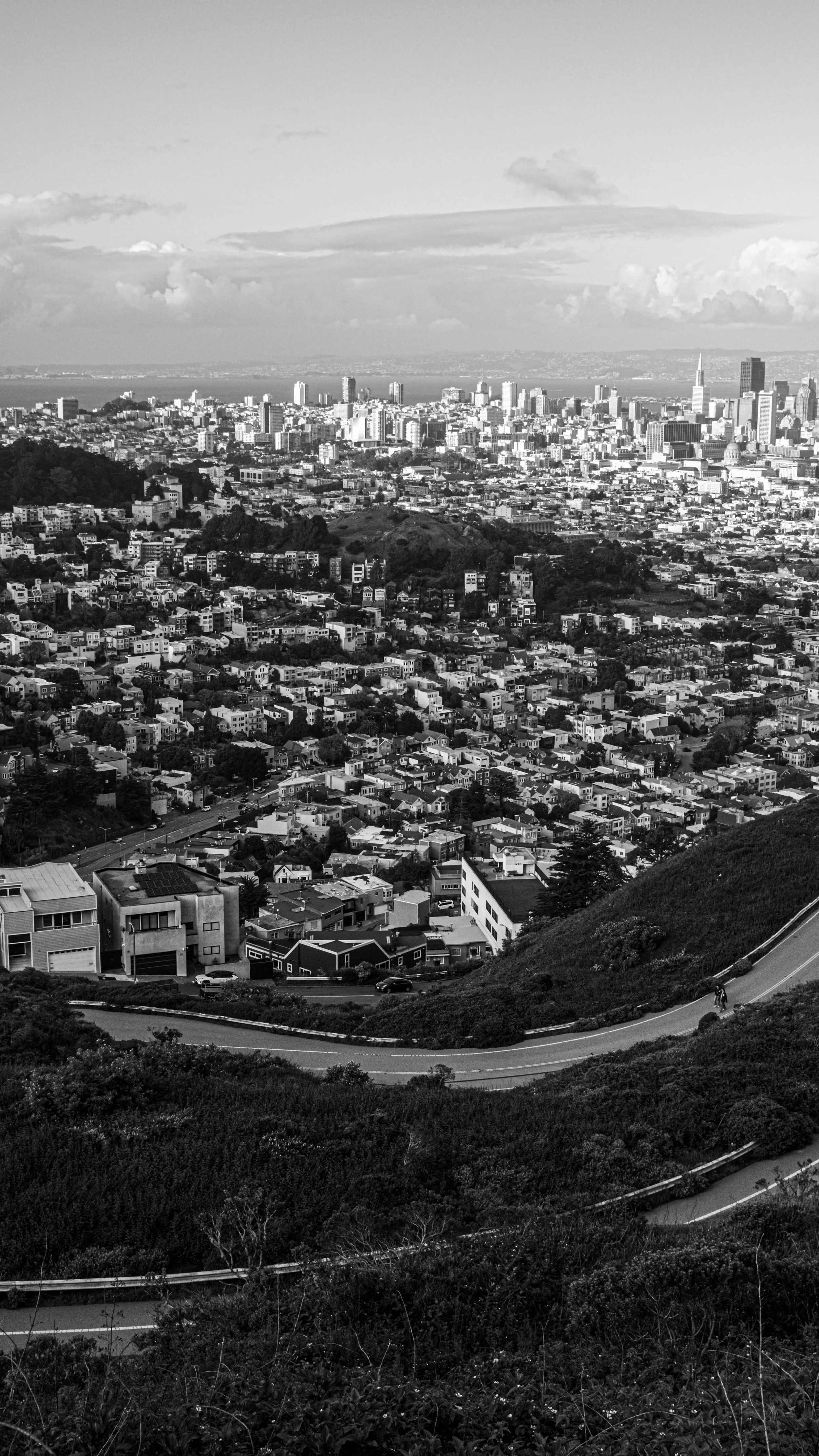 Twin Peaks 2 Vic de Aranzeta.jpg