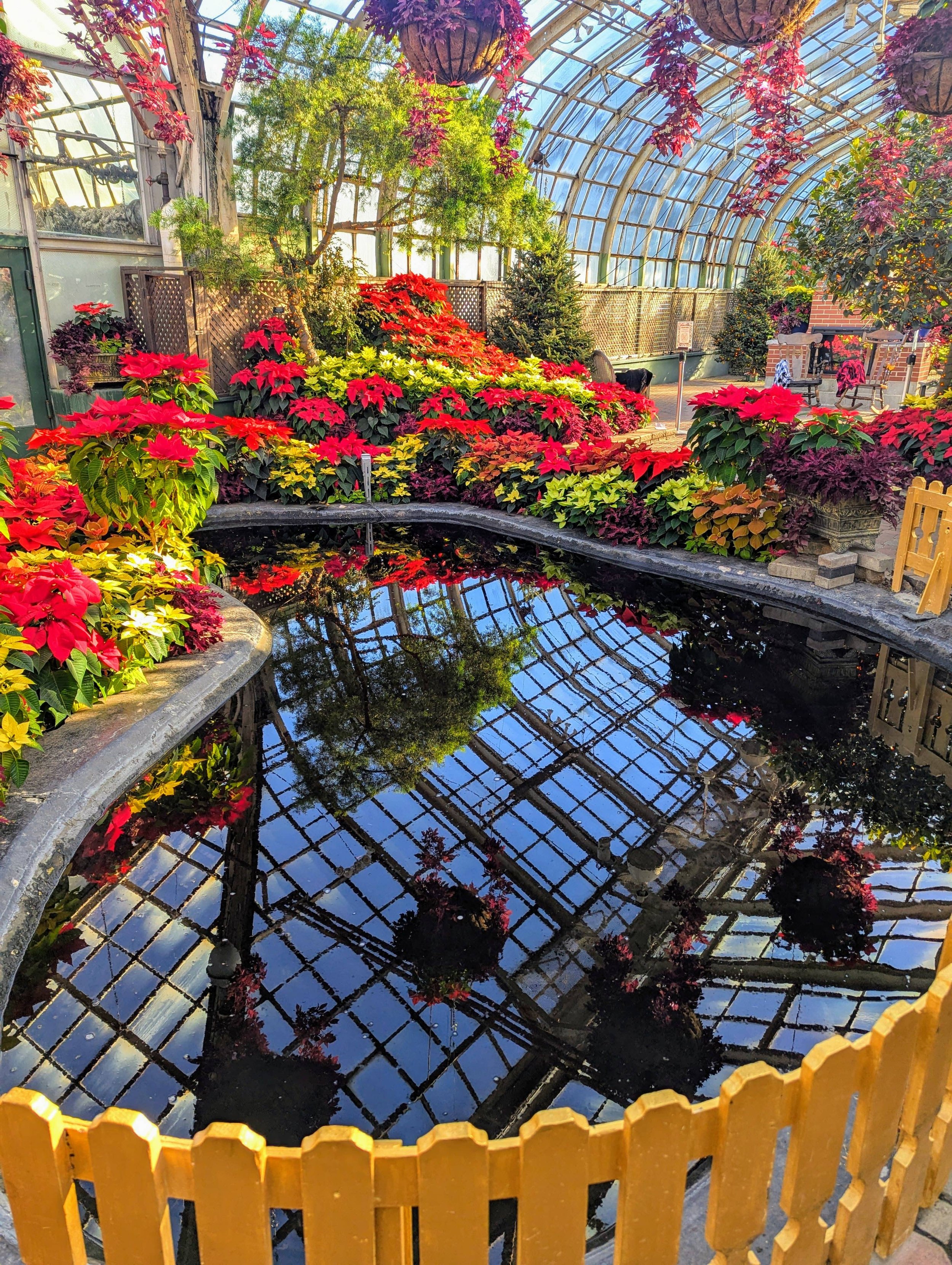 Botanical Garden Lincoln Park - Sabrina Karas.jpg