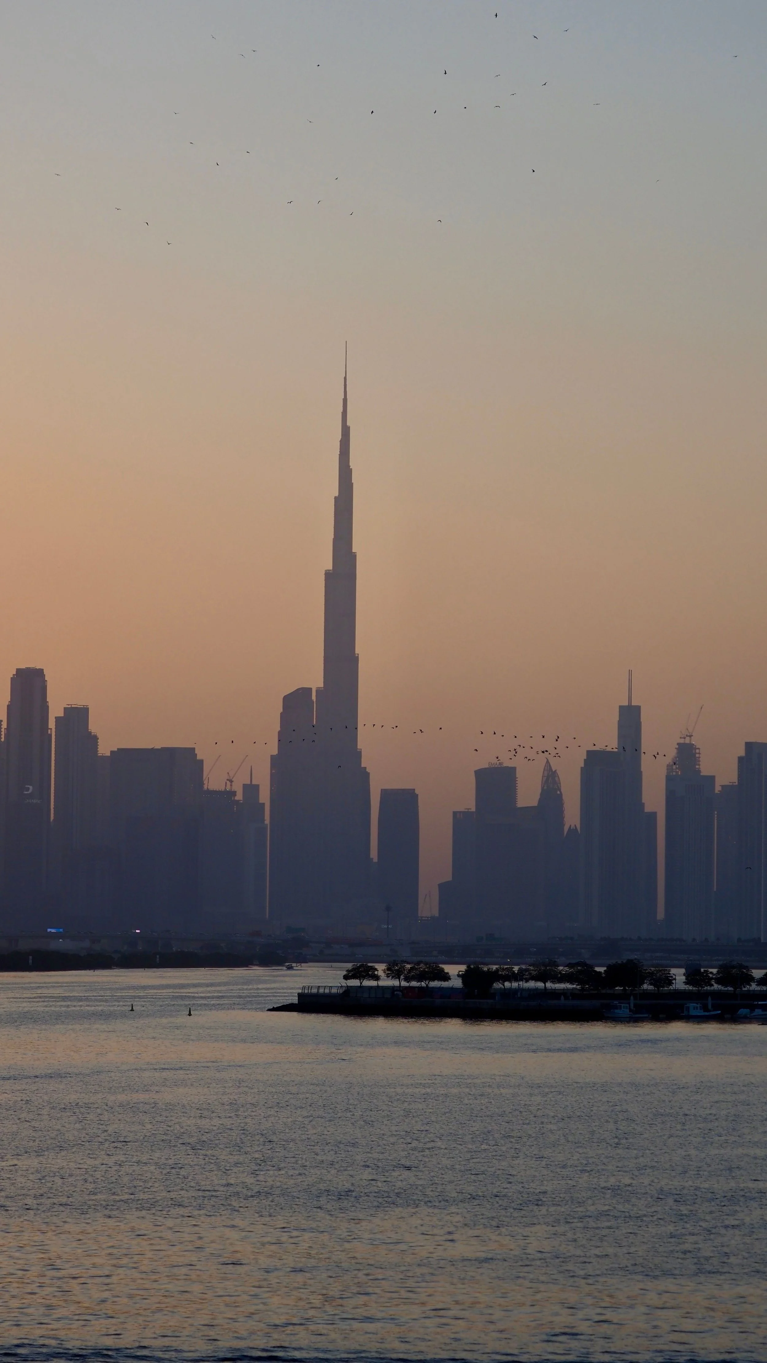CD_Dxb_Image 1 - Simran.jpg