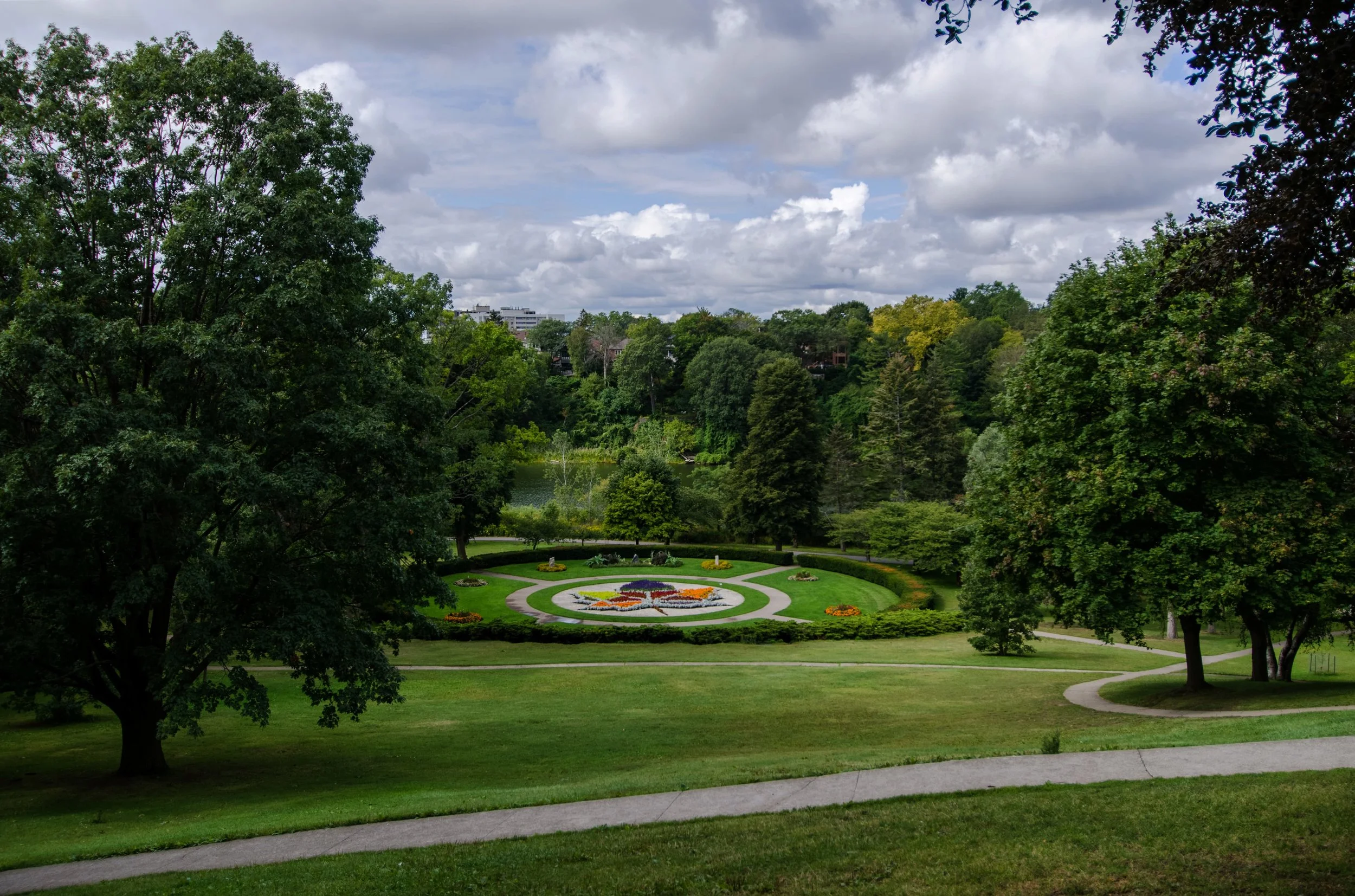 High Park - Ren Wang.jpg