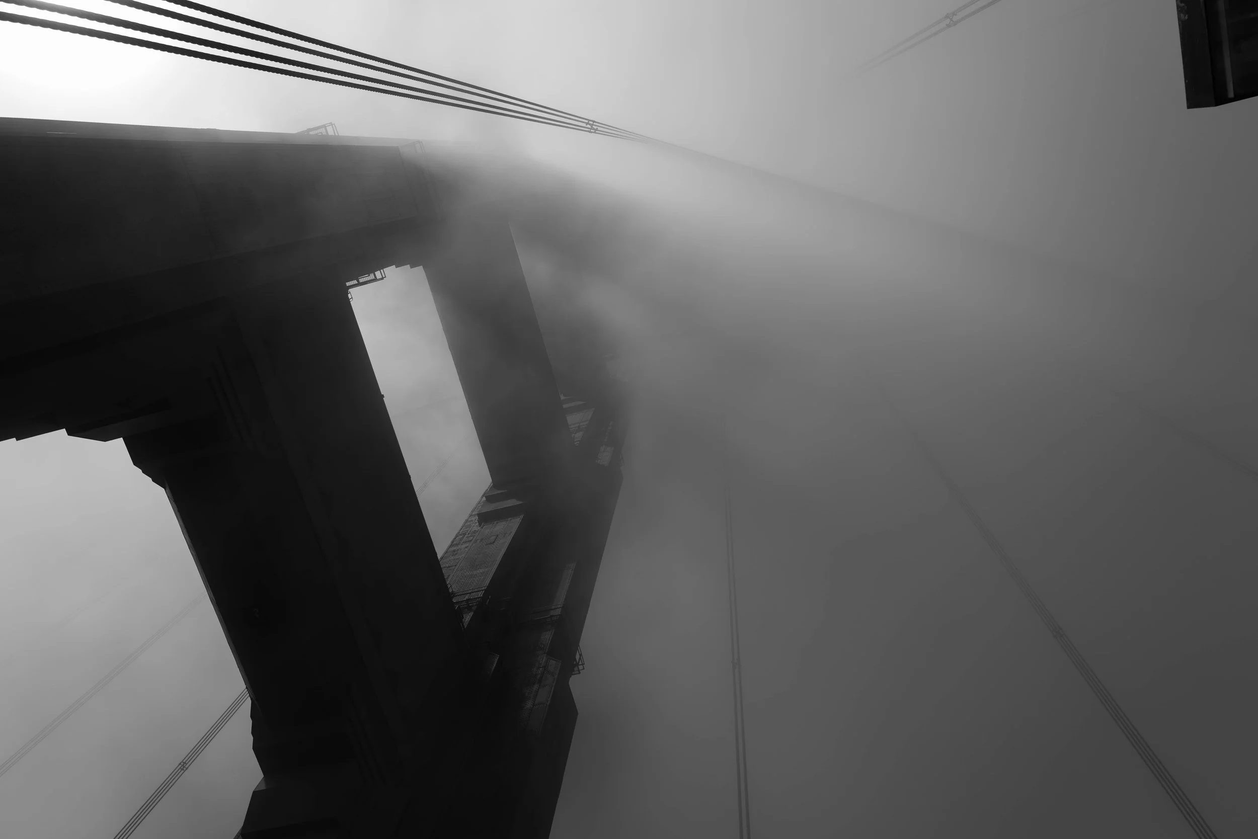 GG Fog Vic de Aranzeta.jpg