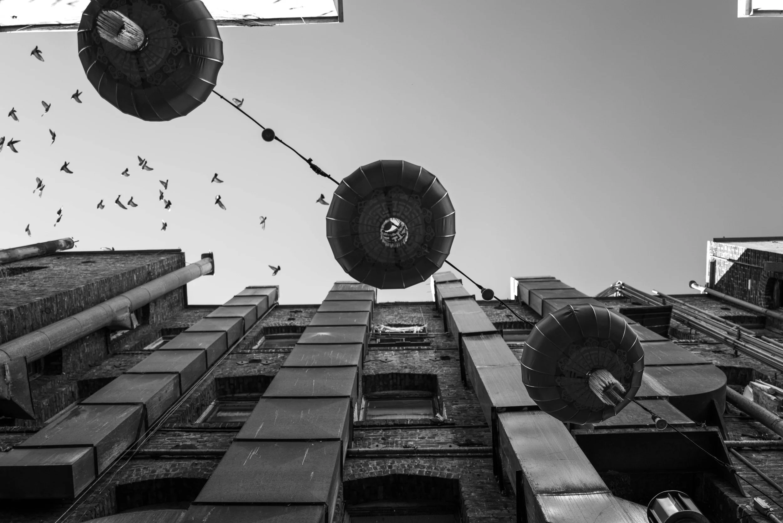 Chinatown SF Vic de Aranzeta.jpg