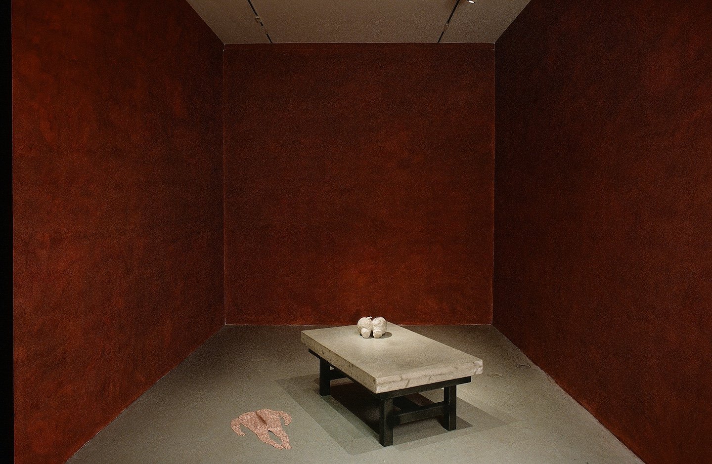 Freud’s Mouth: twins, 1994 (installed at the Power Plant)