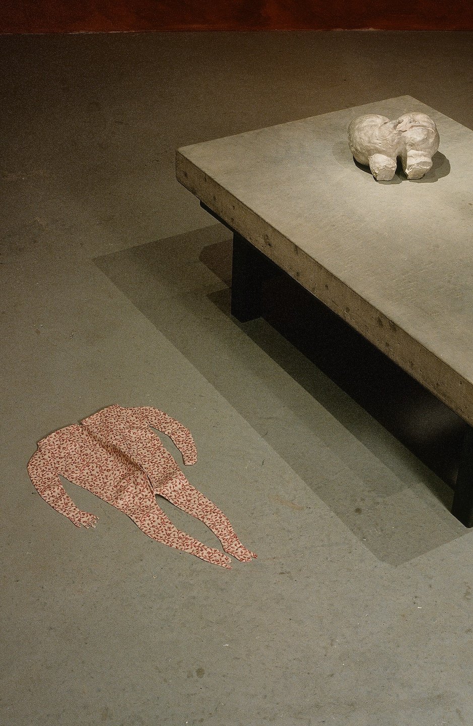 Freud’s Mouth: twins, (installed at the Power Plant), detail