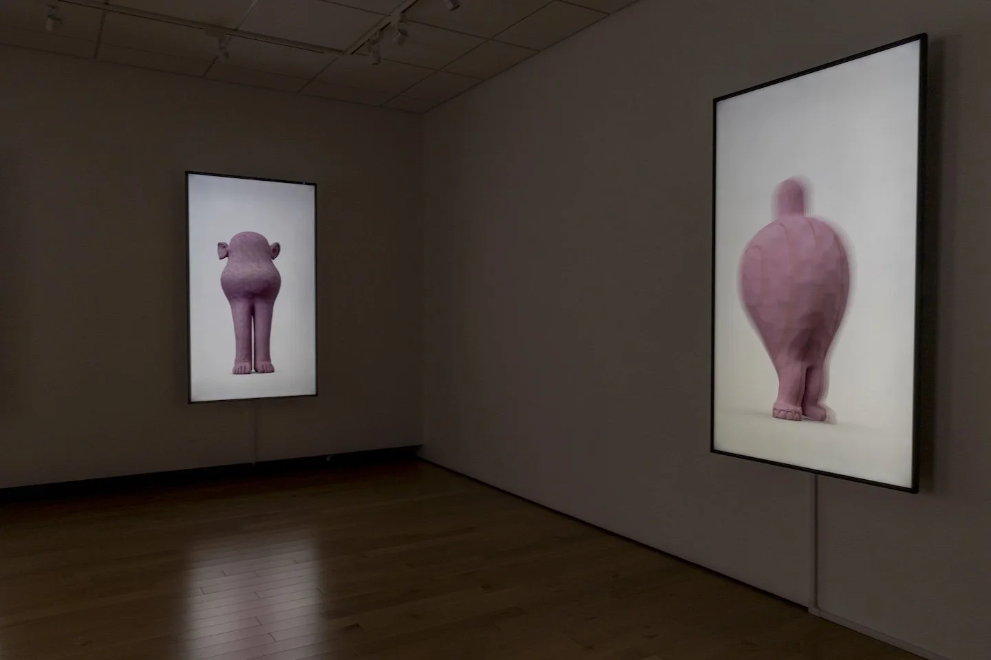 The Pinks, 2025 (Pink #5 and Pink#6)