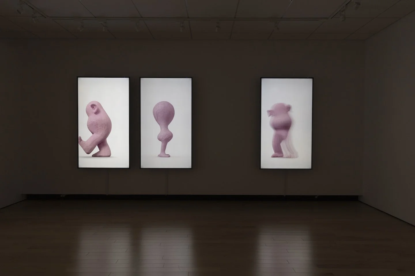 The Pinks, 2025 (Pink#3, Pink#2 and Pink#5)