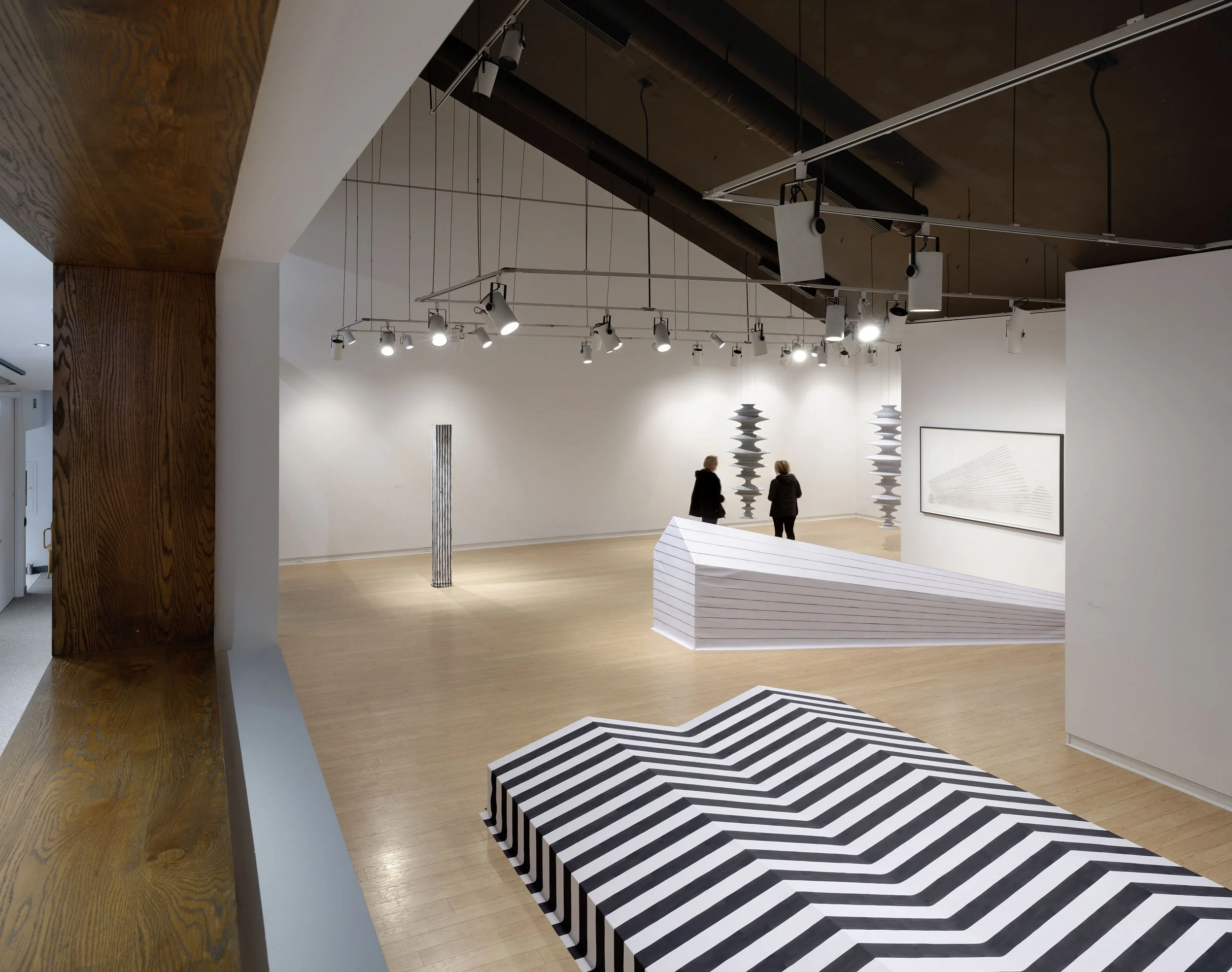 Lyn Carter: 11th Line, solo exhibition at Art Gallery of Peterborough 2017