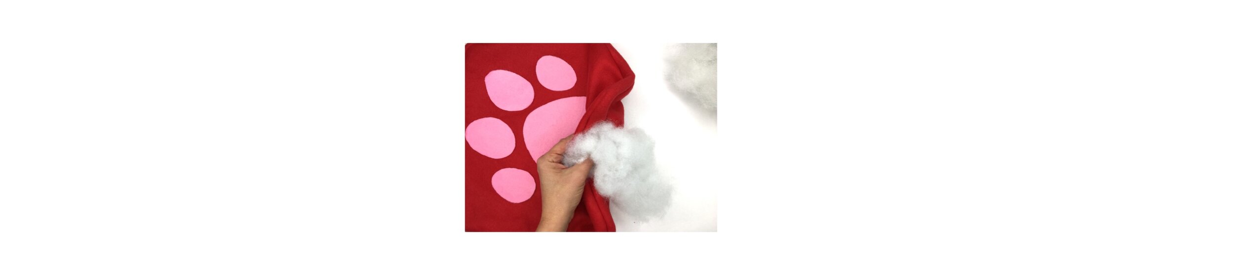 paw pic.jpg