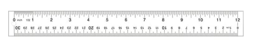 transparent ruler.JPG