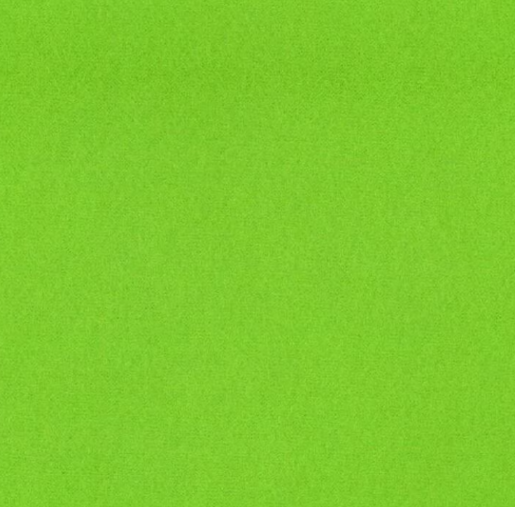 Green Fleece Fabric