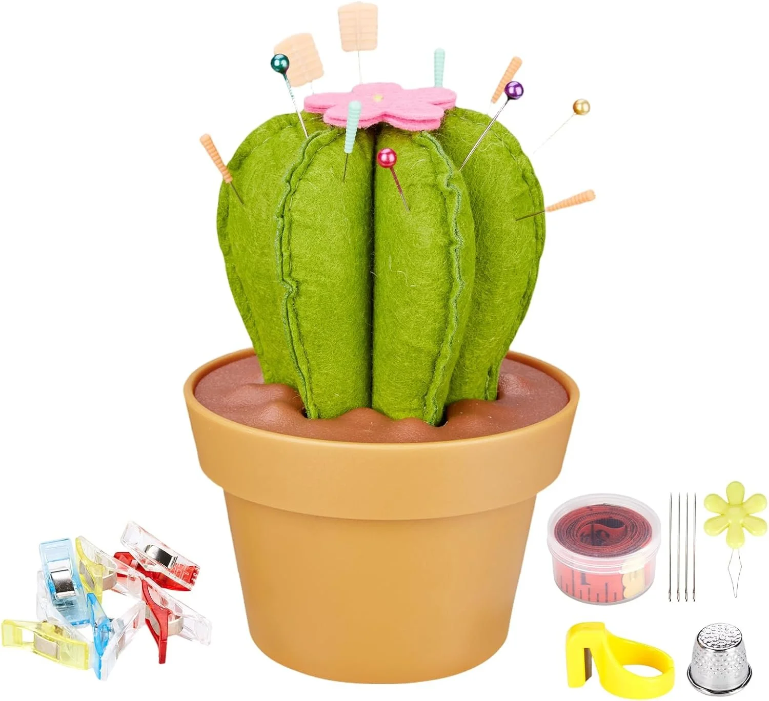 cactus pincushion.jpg