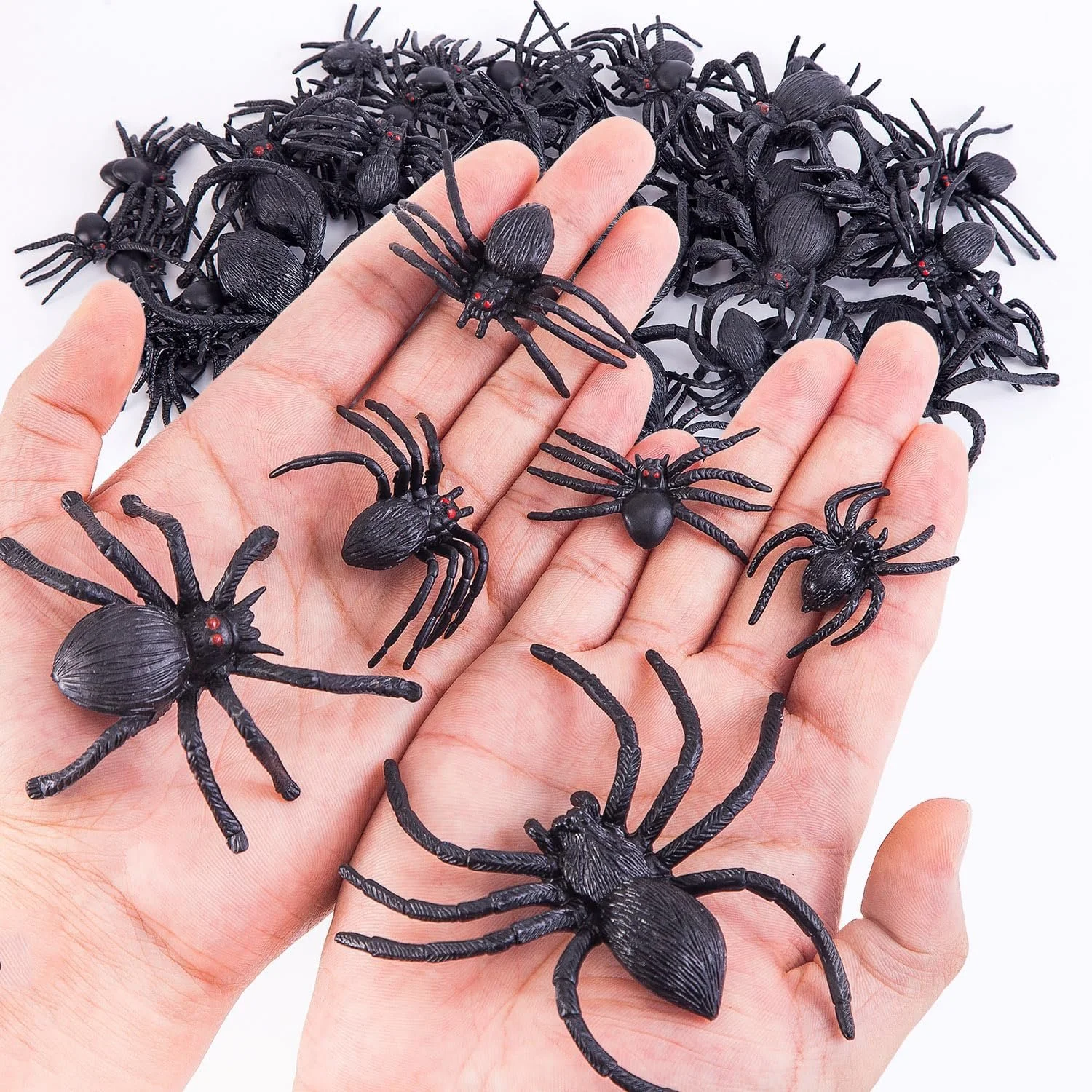 Spiders