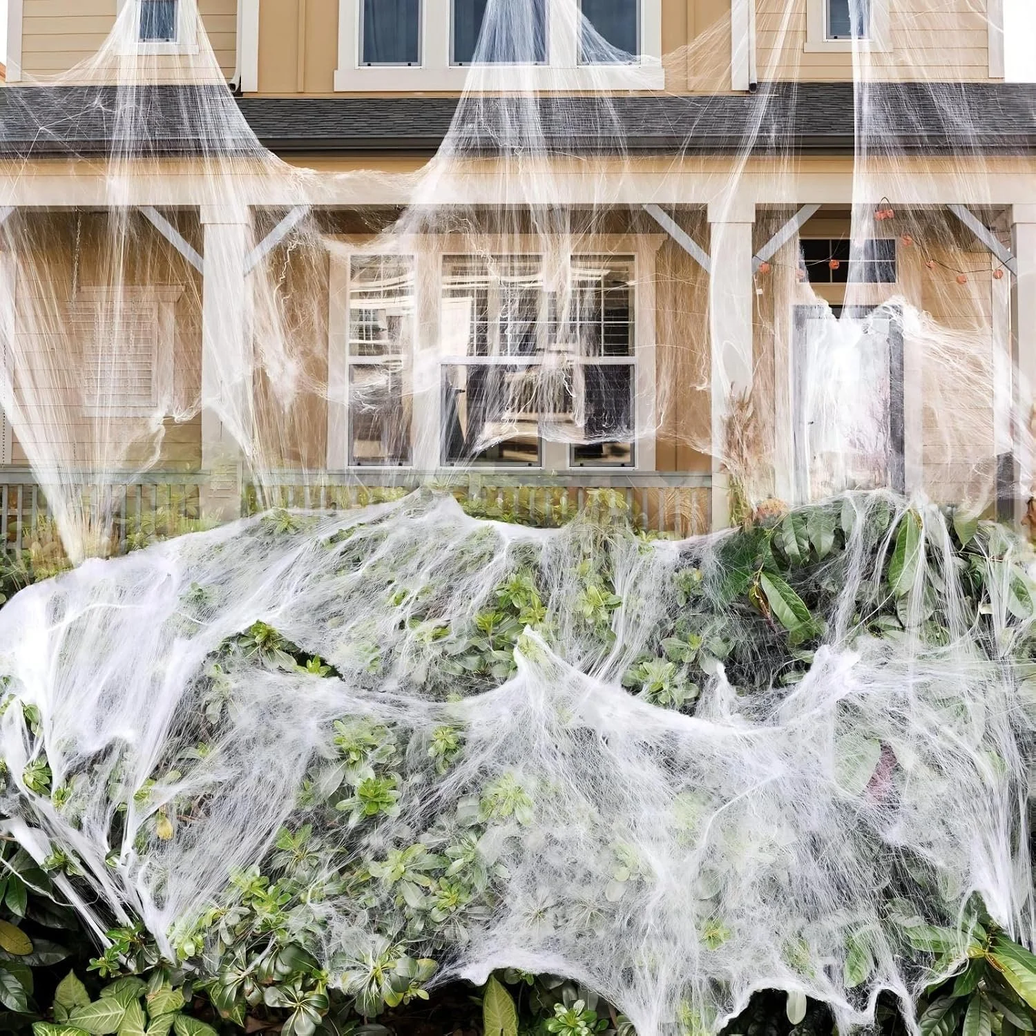 cobwebs