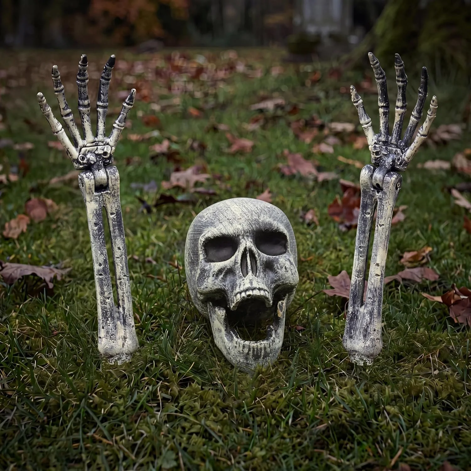 skeleton