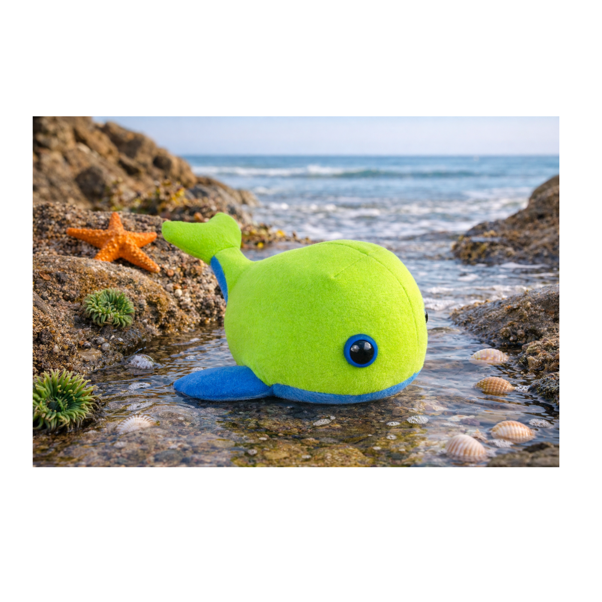 plush whale pattern.png