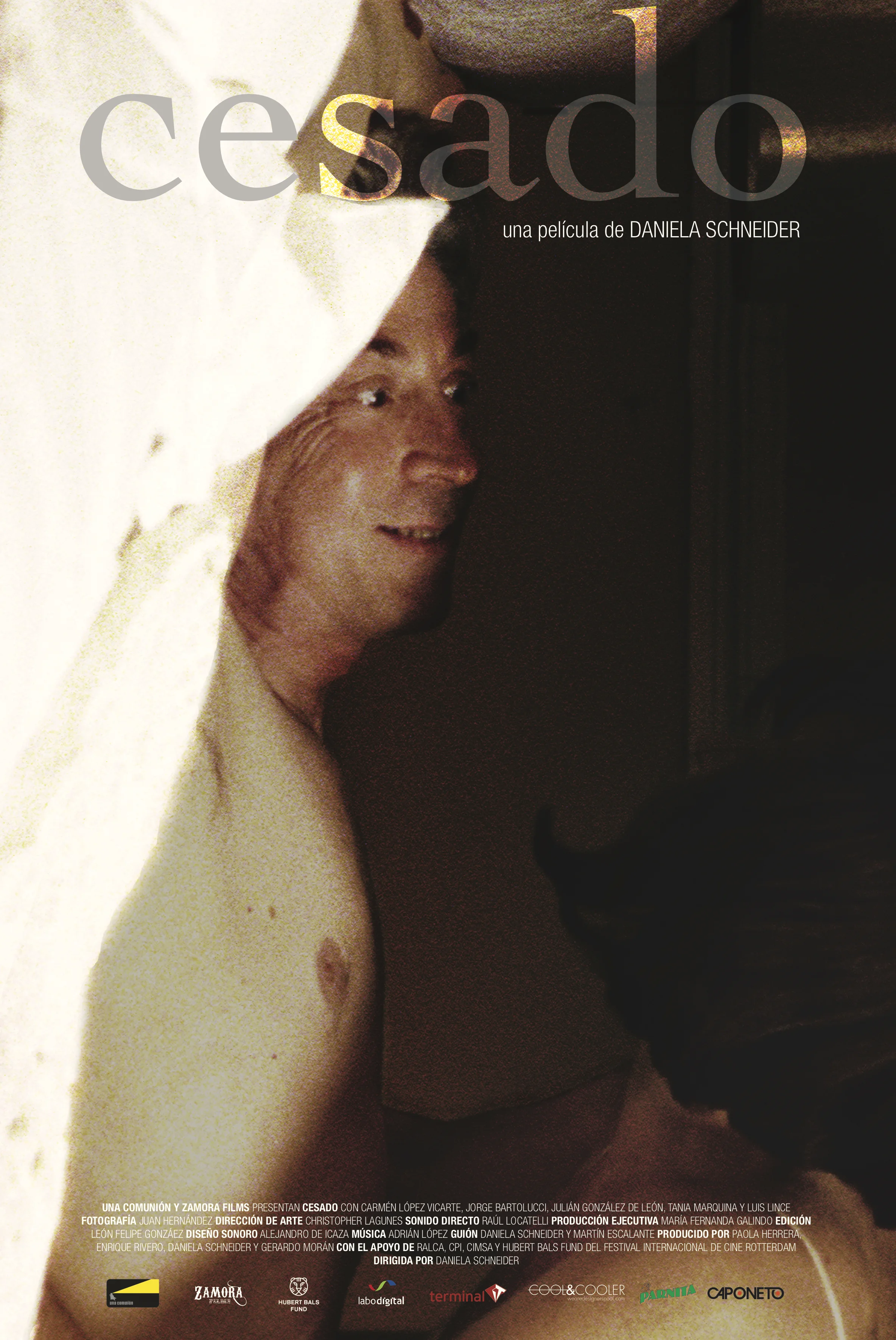 CS_poster small.jpeg