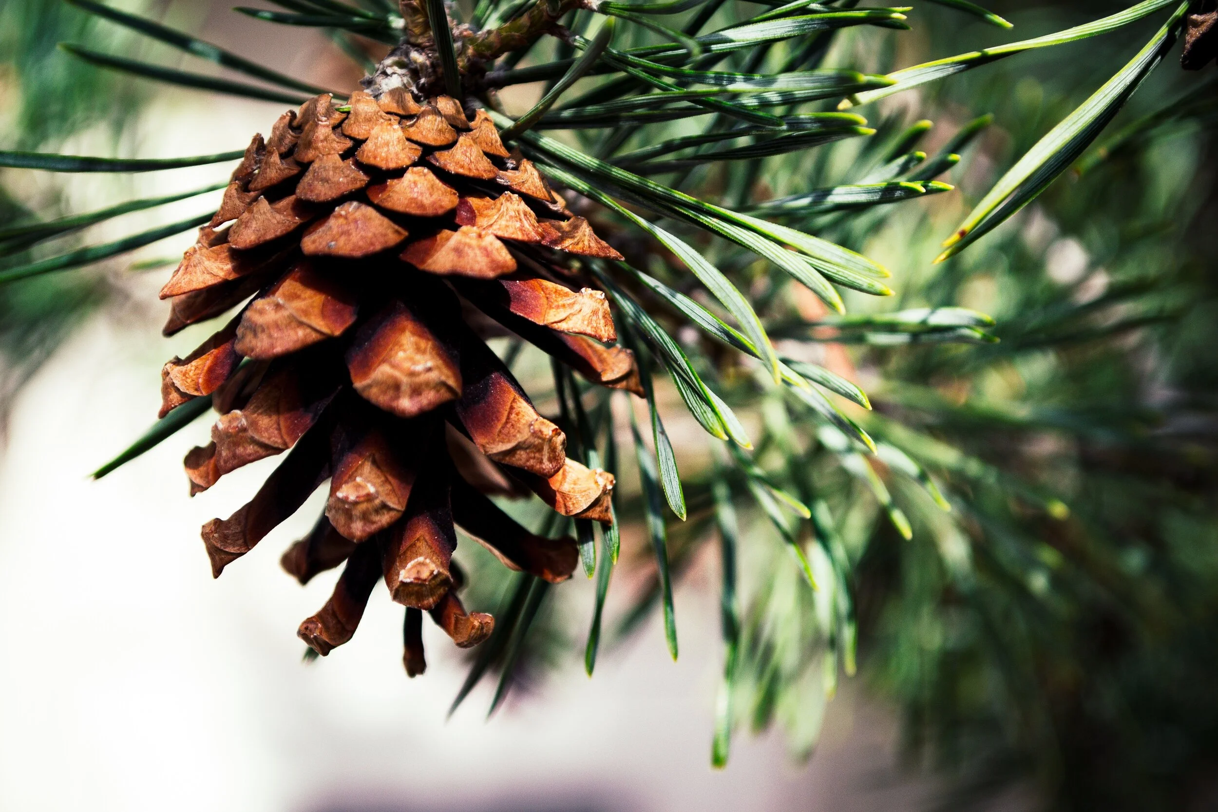 Winterizing Your Skin &amp; Mind