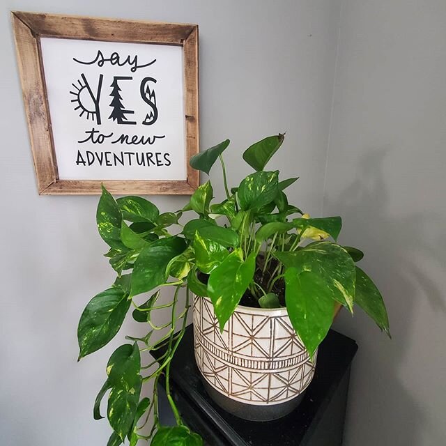So glad I said, &quot;YES&quot; ! 🌲🌲🌲
.
Fyi my bff  @natalienicolelittlefield made this for me when I started traveling/thinking about starting my own business!
.
Daily reminders are so helpful ♡