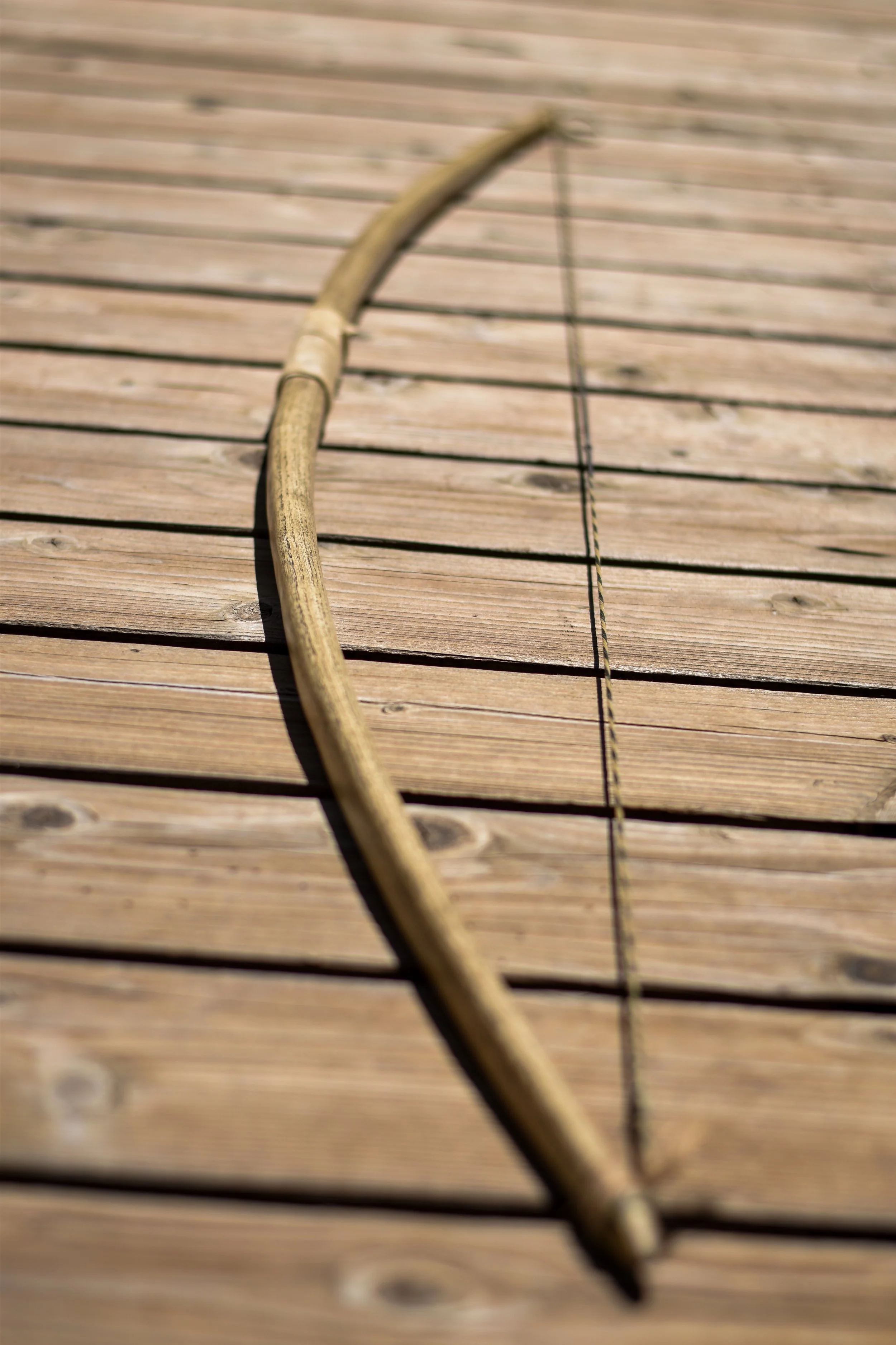 hackberry longbow.jpg