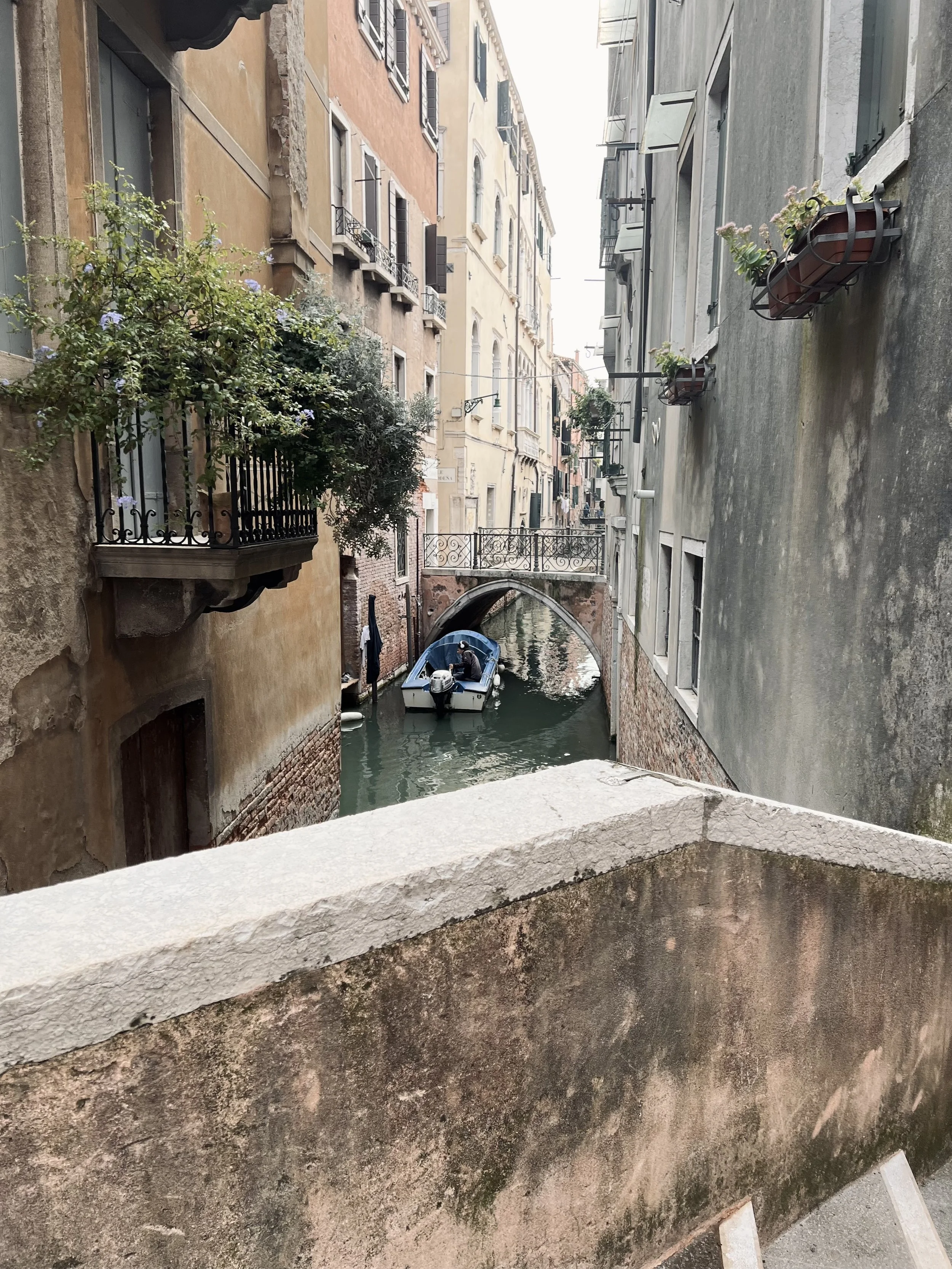 venice.jpeg