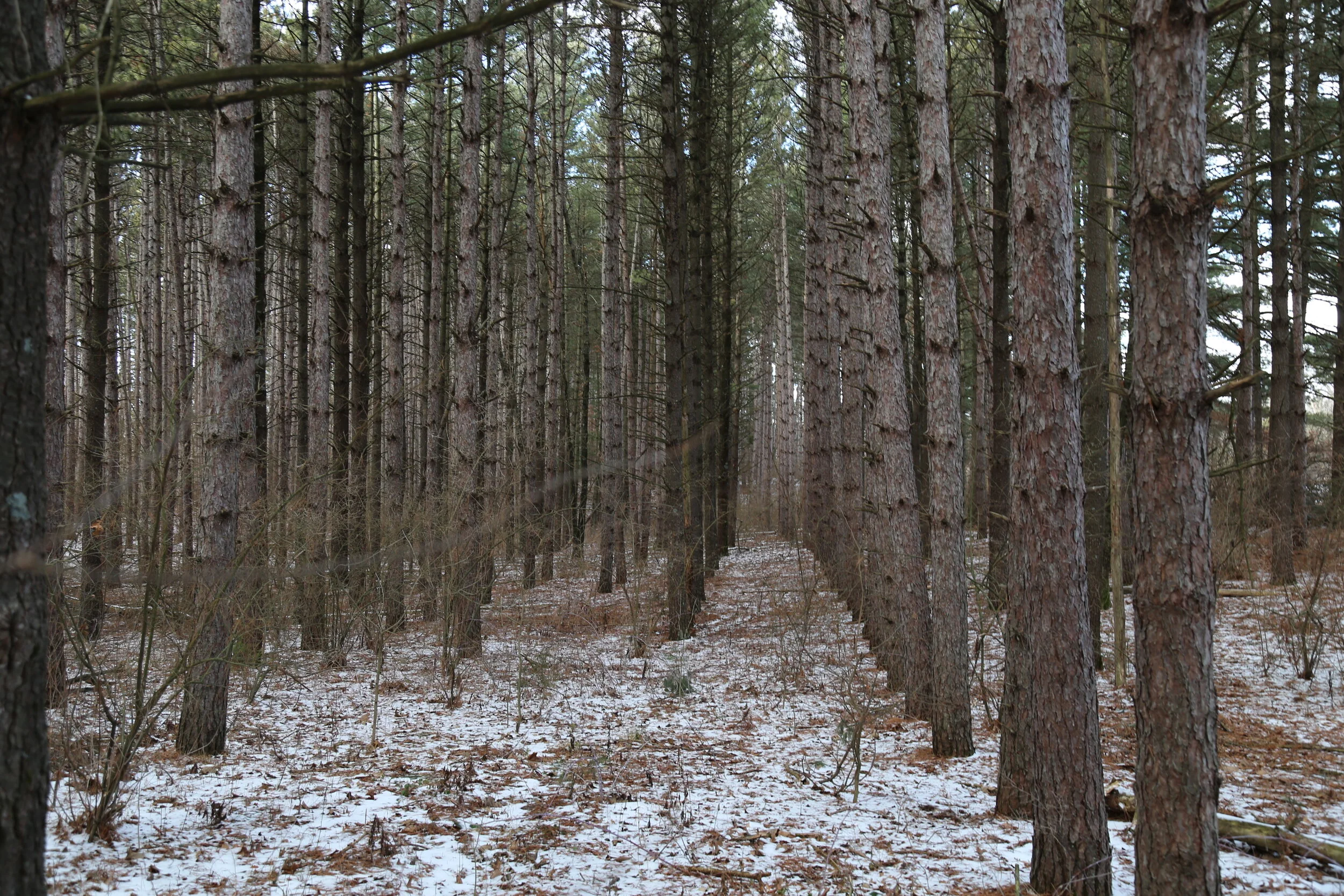 Big River State Park