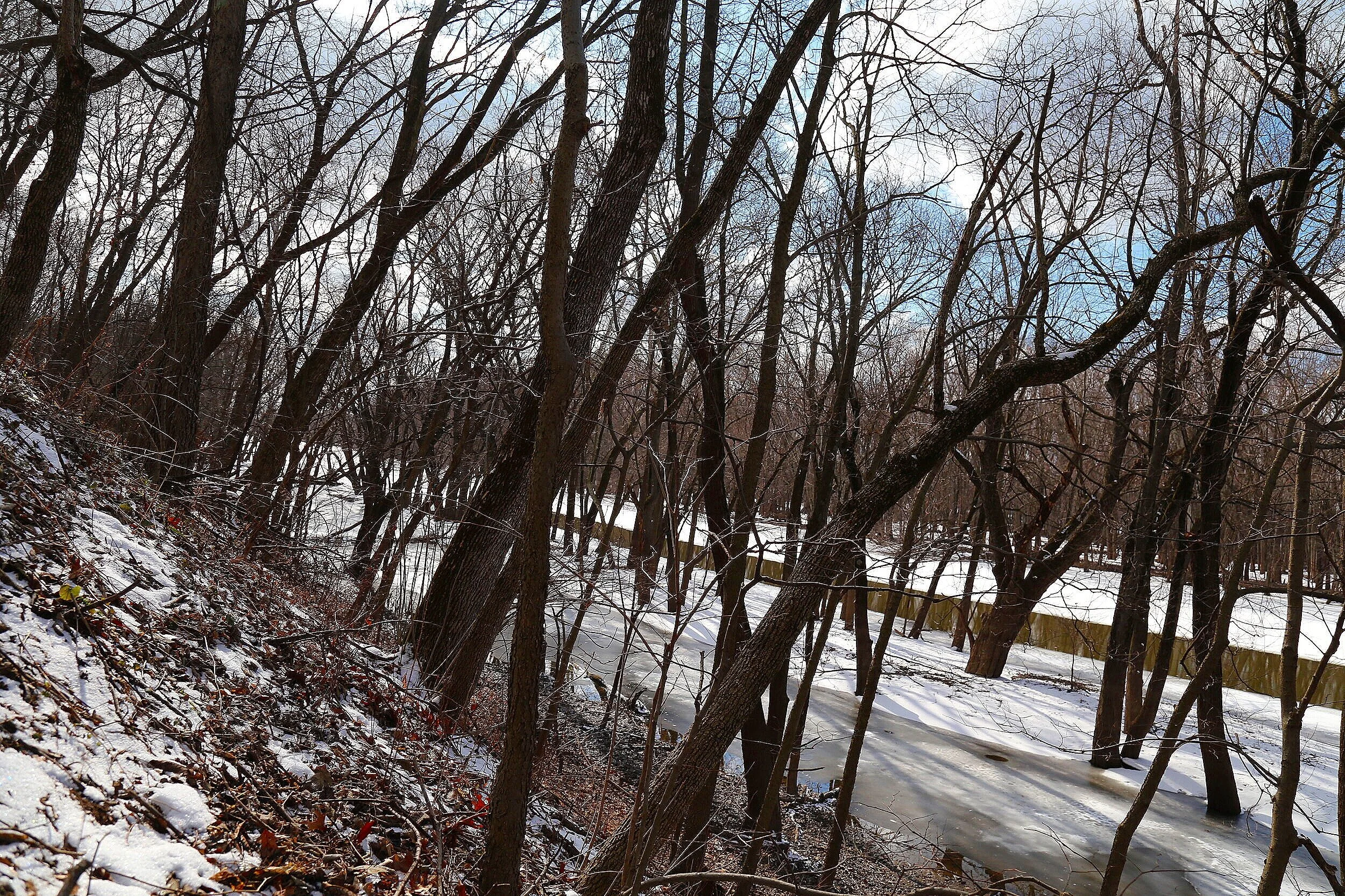 Bluff and slough topography