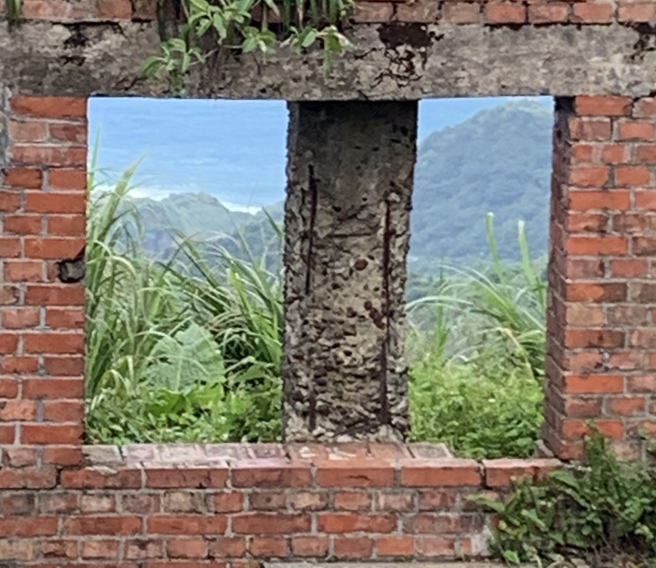 Living in the Covid-19 space: living with liminality