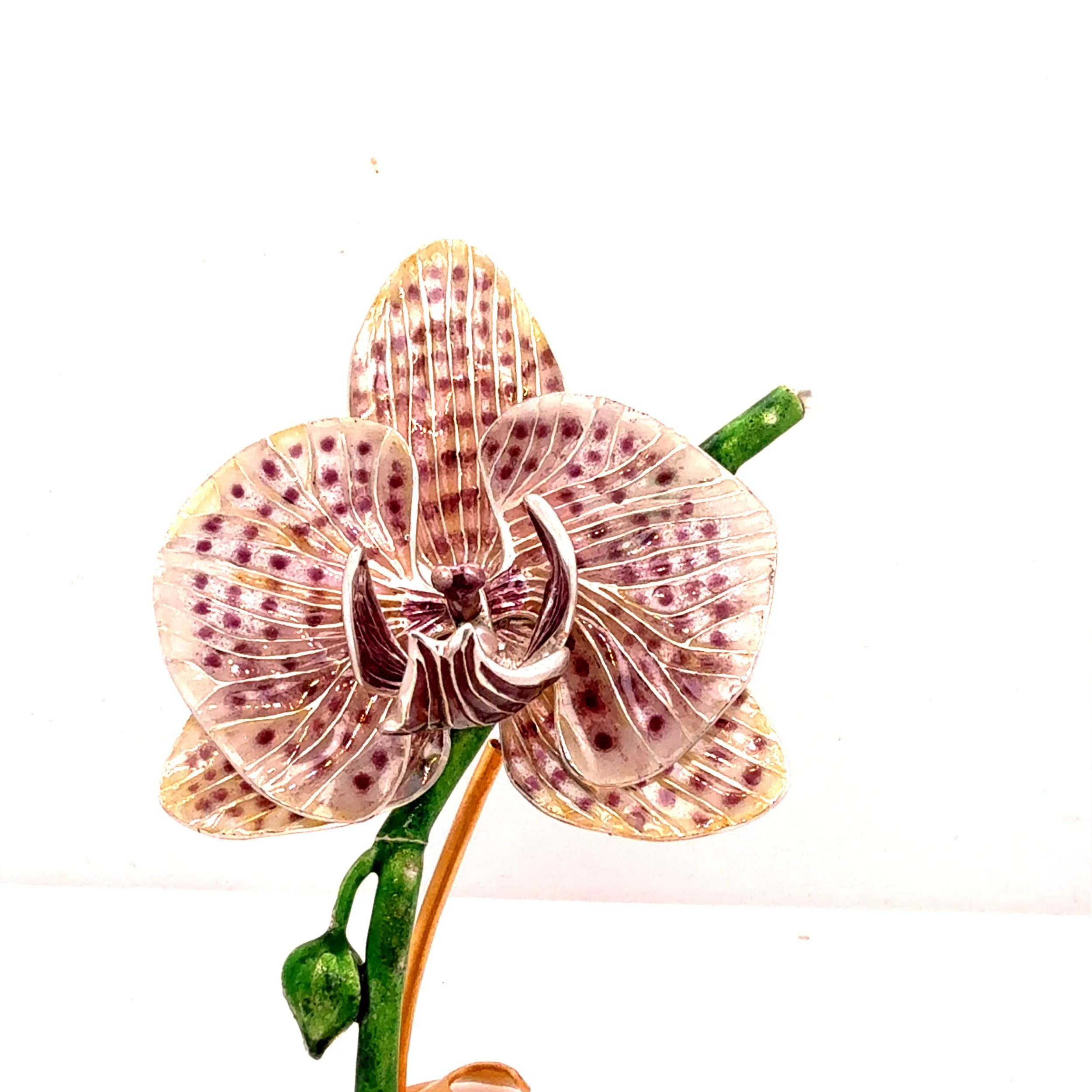 UN-0271_ggarsa7721_2026-03-12-16-05-56 2.jpg