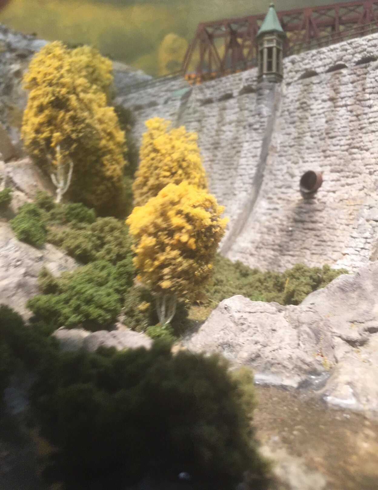 treesingorge.JPG