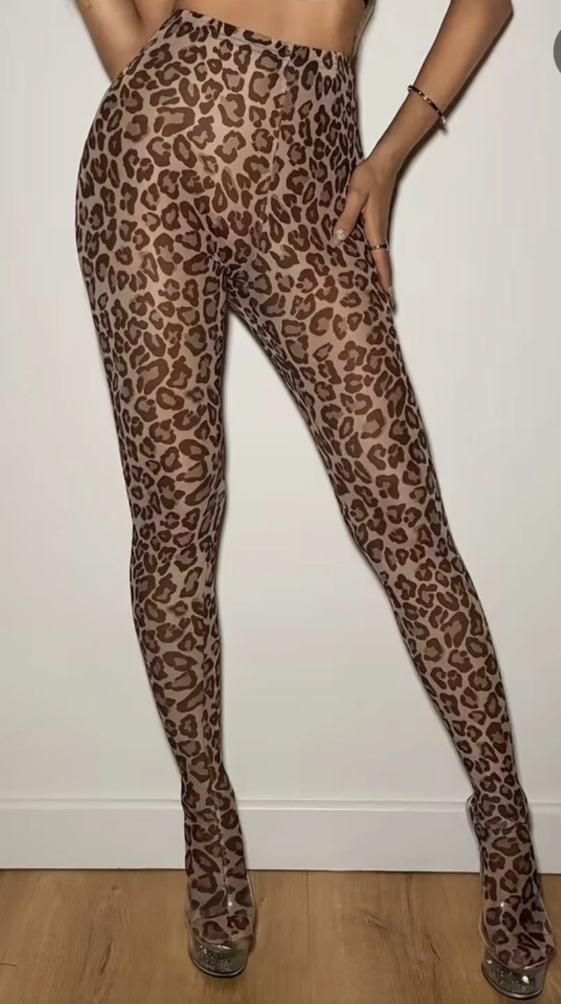 1d44147b-b154-49d8-ae51-7e3b910e2820.jfif