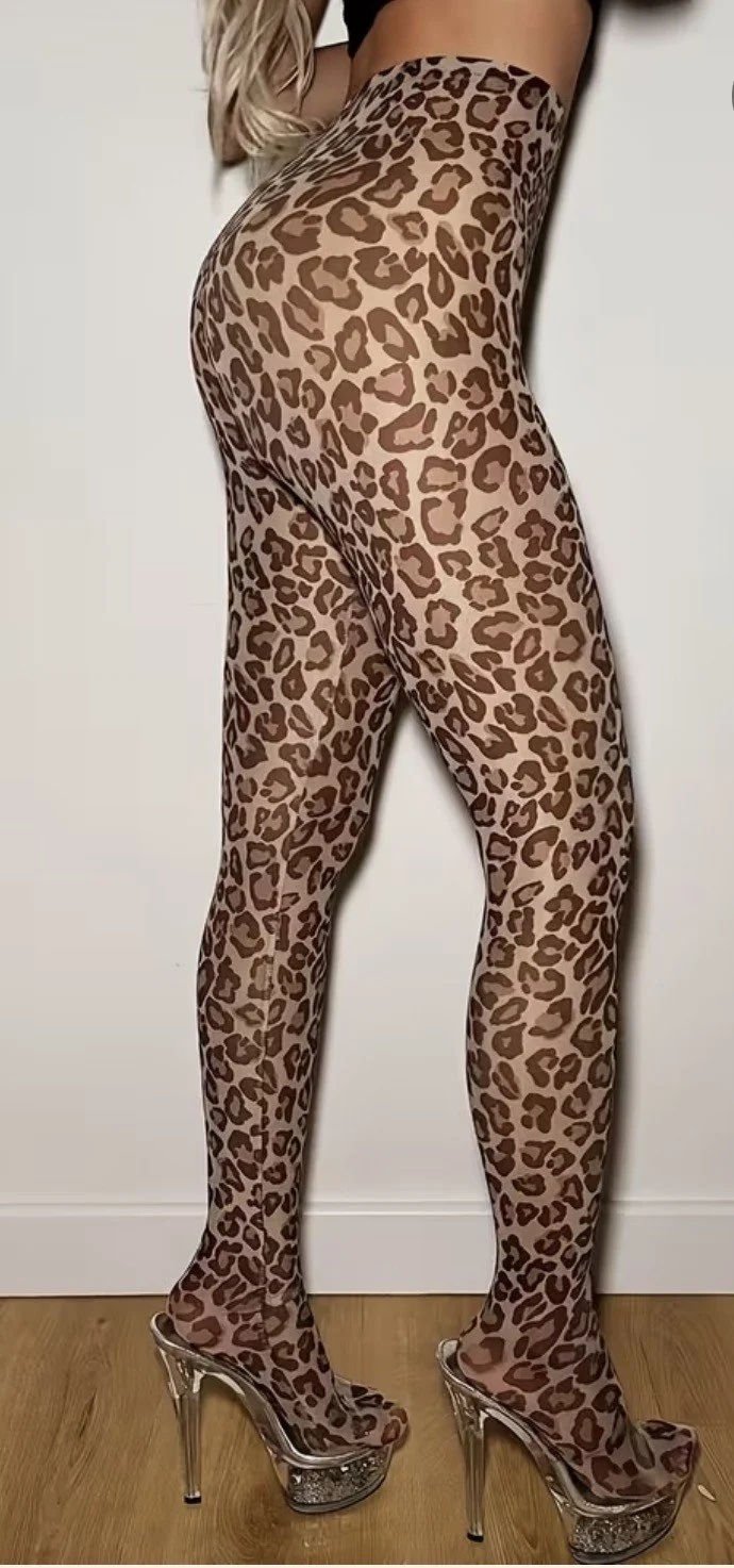 c45ded44-a9b2-4172-82ca-58e19cc5a202.jfif