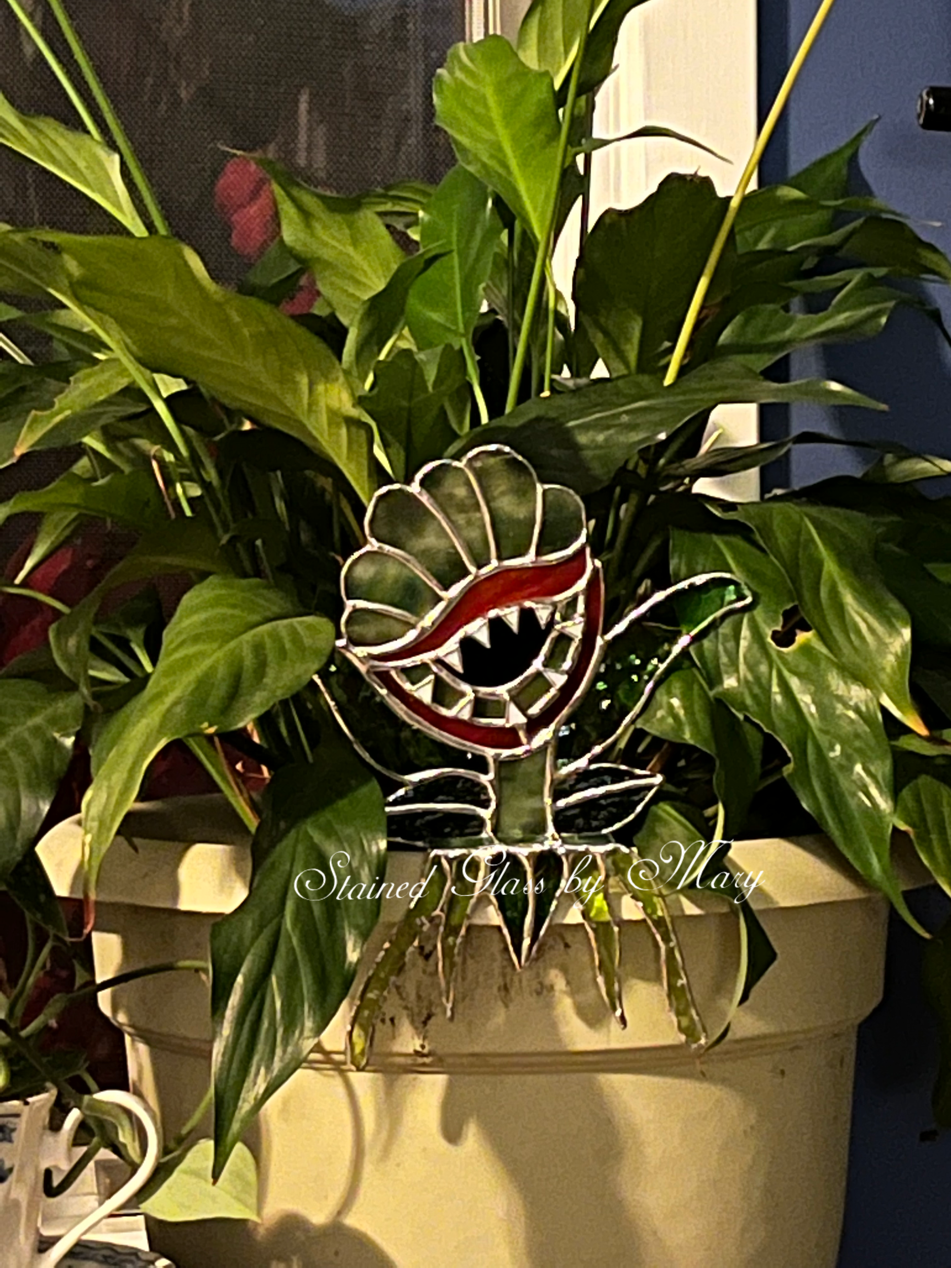 IMG_3768.png