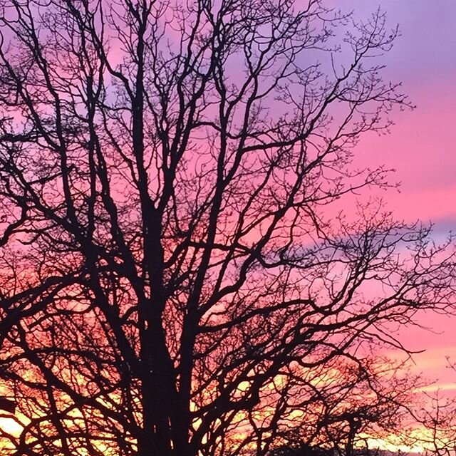 As the sun sets on the year now passing, may you discover all the Treasures you seek in the new one now unfolding! Happy New Year! Gle&eth;ilegt n&yacute;tt &aacute;r og takk fyrir &thorn;a&eth; gamla! From all of us at the INLNA - the #icelandicnati